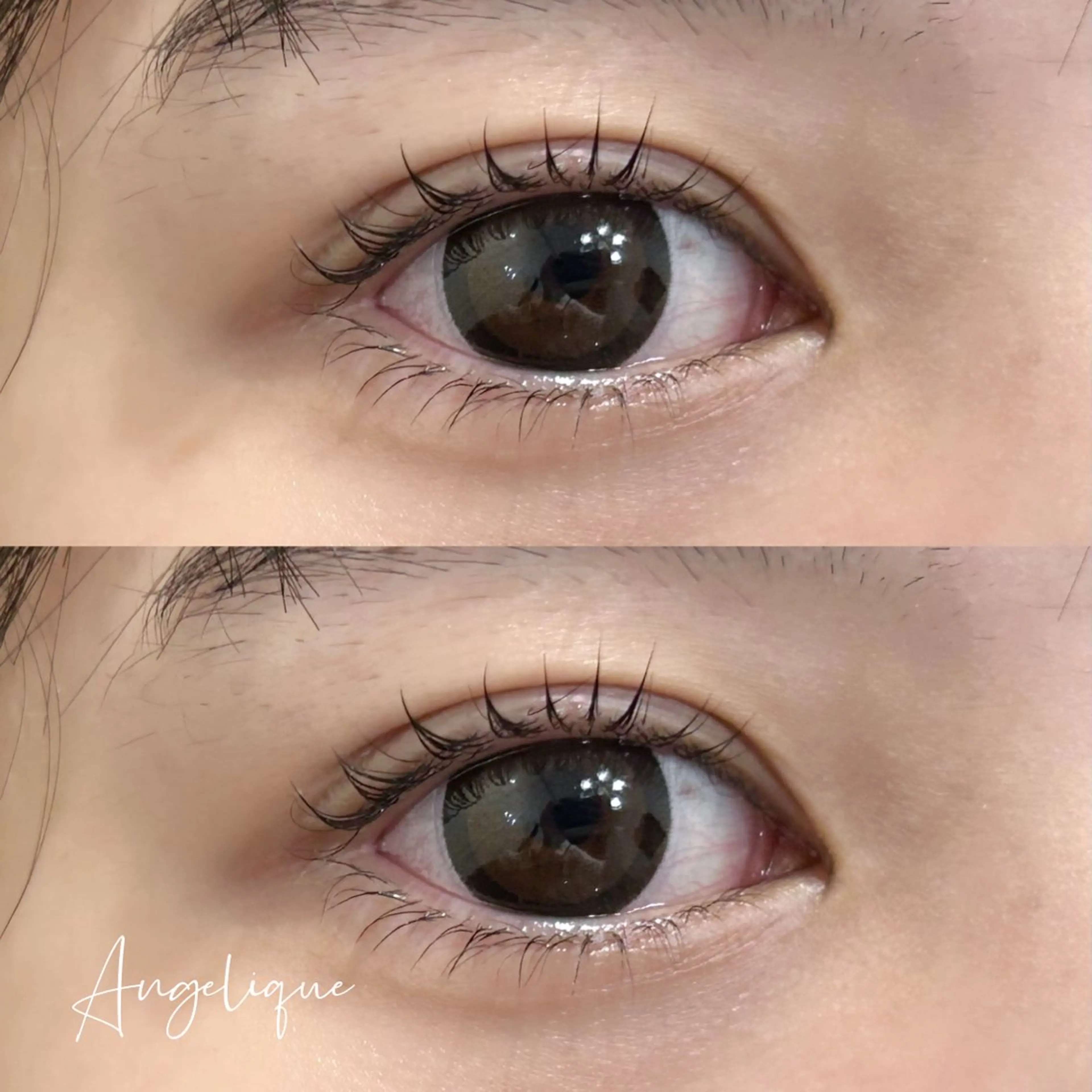 【💎上下ラッシュリフトカール💎】シャンプー➕トリートメント付き🎀の写真