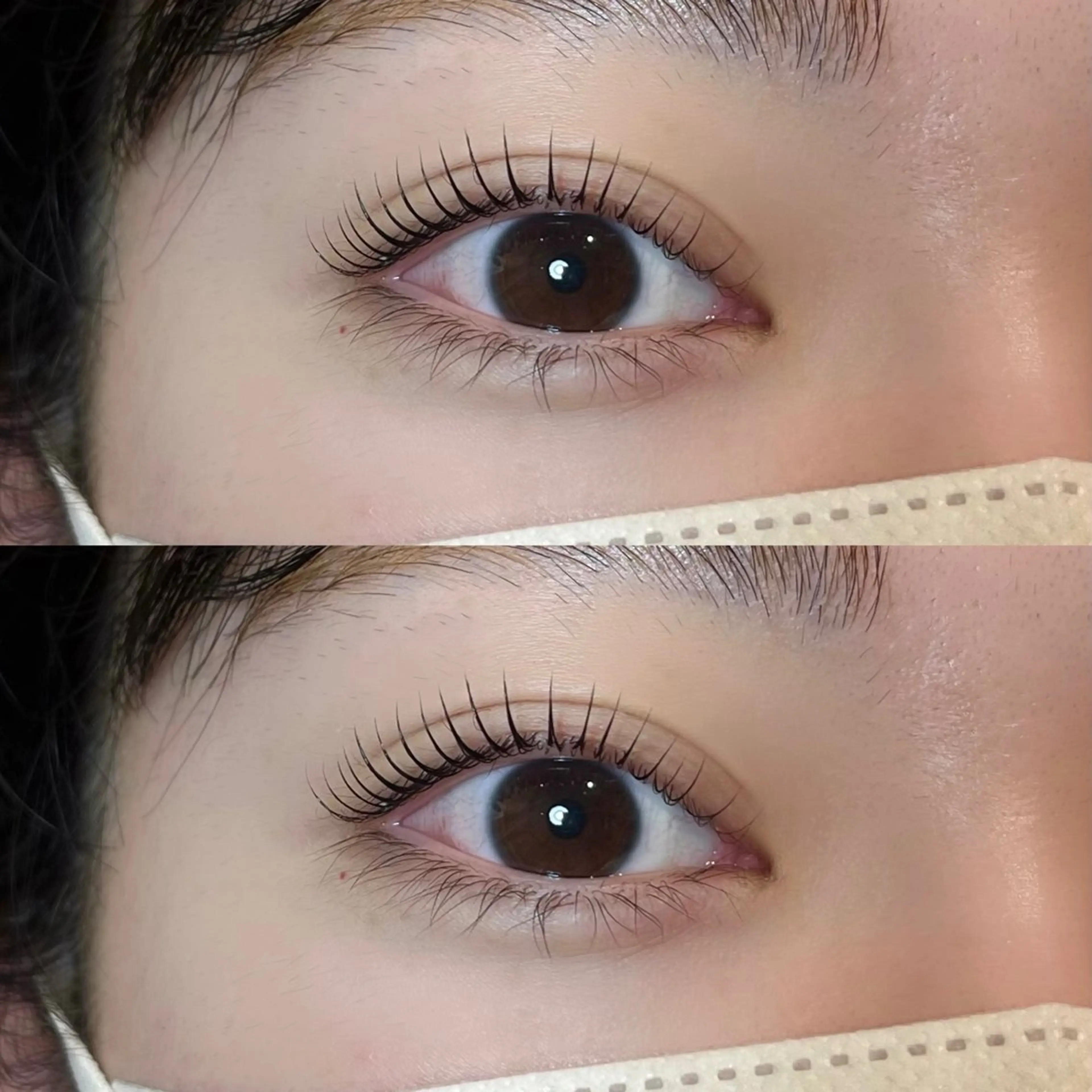 ใใใจใฏใปใใใ ๐๐๐๐๐ ๆ่ฑใฎใใใจใฏใปใใใใใถใคใณ