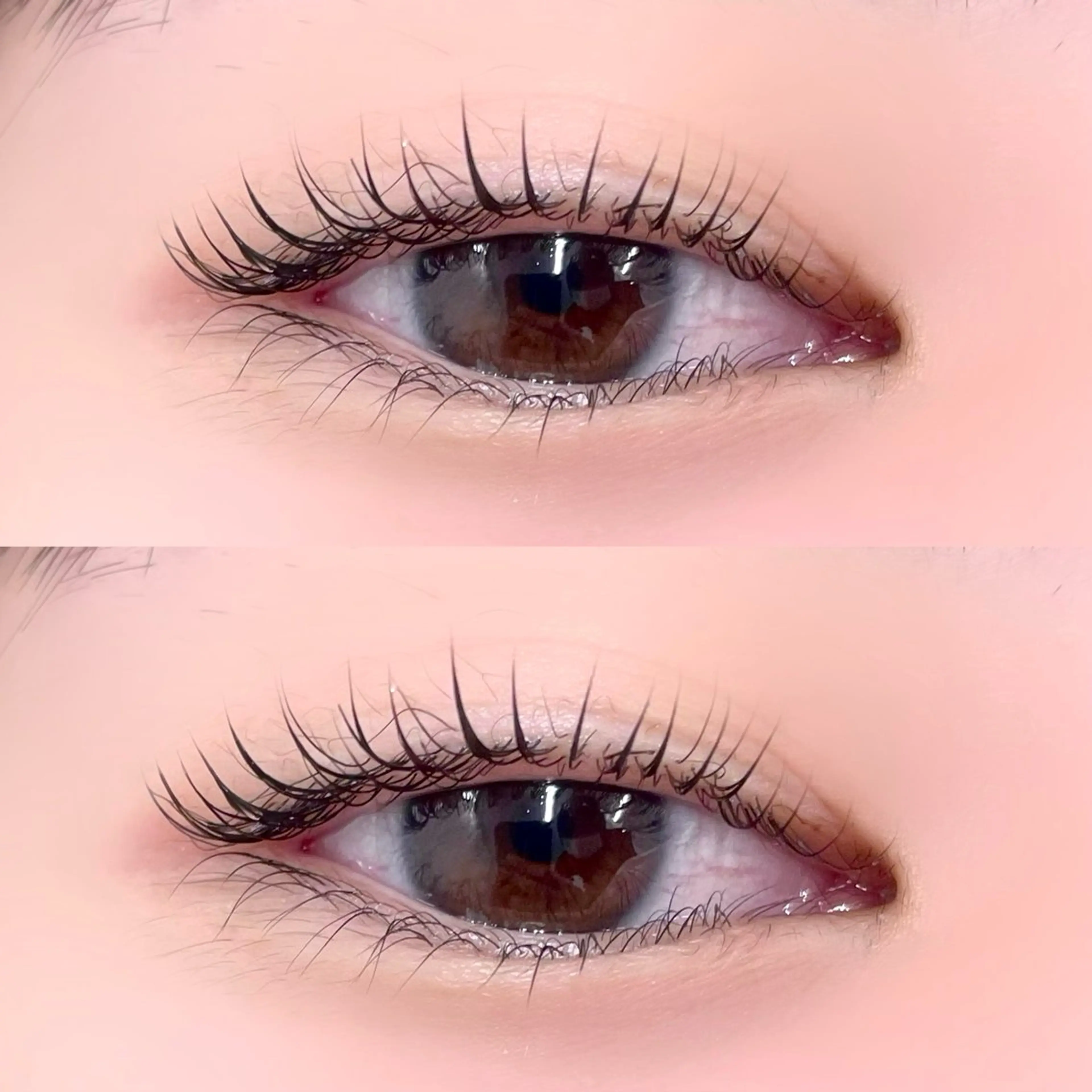 マツエク・マツパ 一重×まつ毛パーマ Bianca/金町 Miyagiのマツエク・マツパデザイン