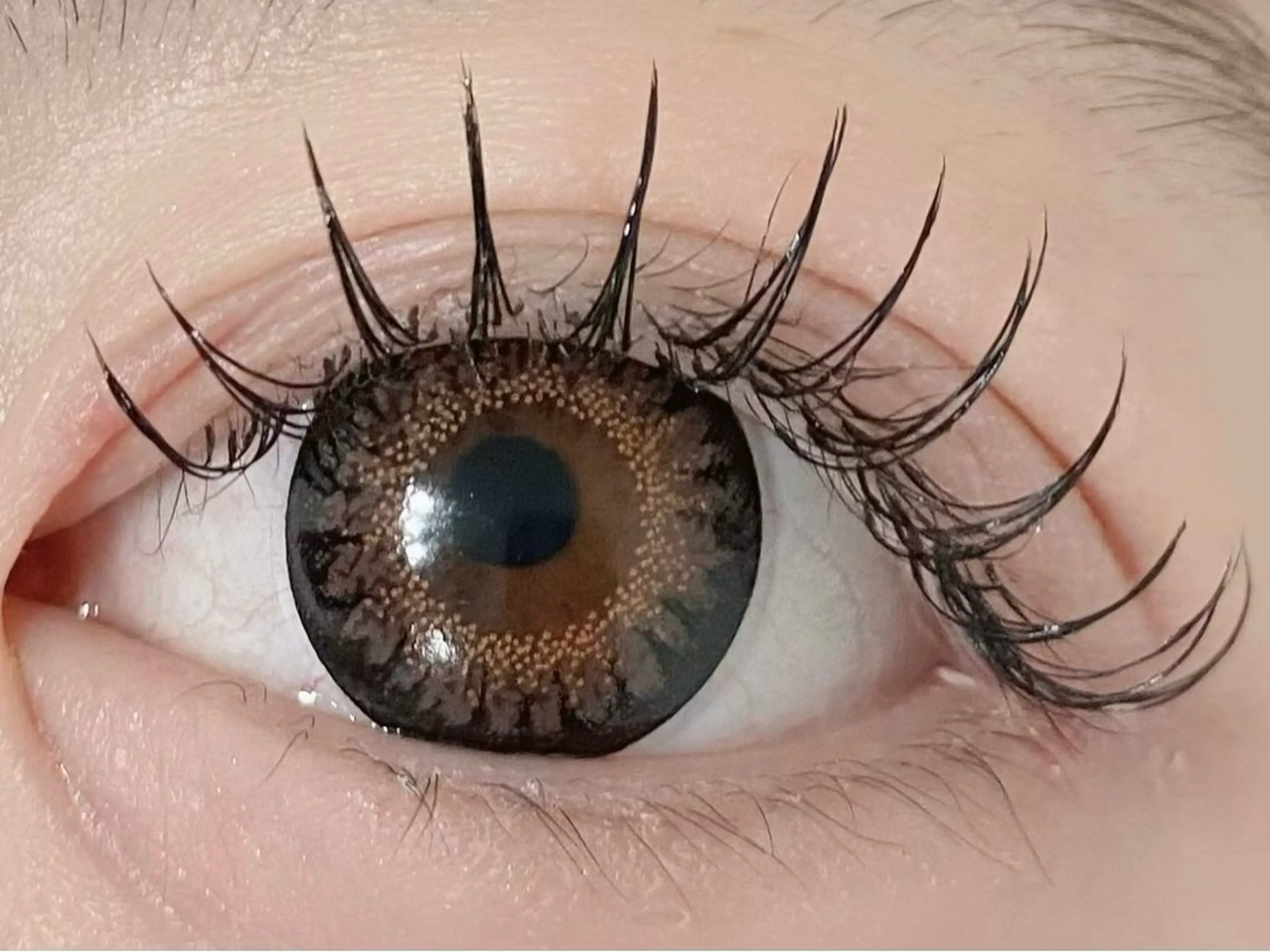 マツエク・マツパ 束感まつ毛 Cカール フラットラッシュ ナチュラル マツエク 💎マツエク/眉毛 パリジェンヌ渋谷💎の眉毛・アイブロウイメージ