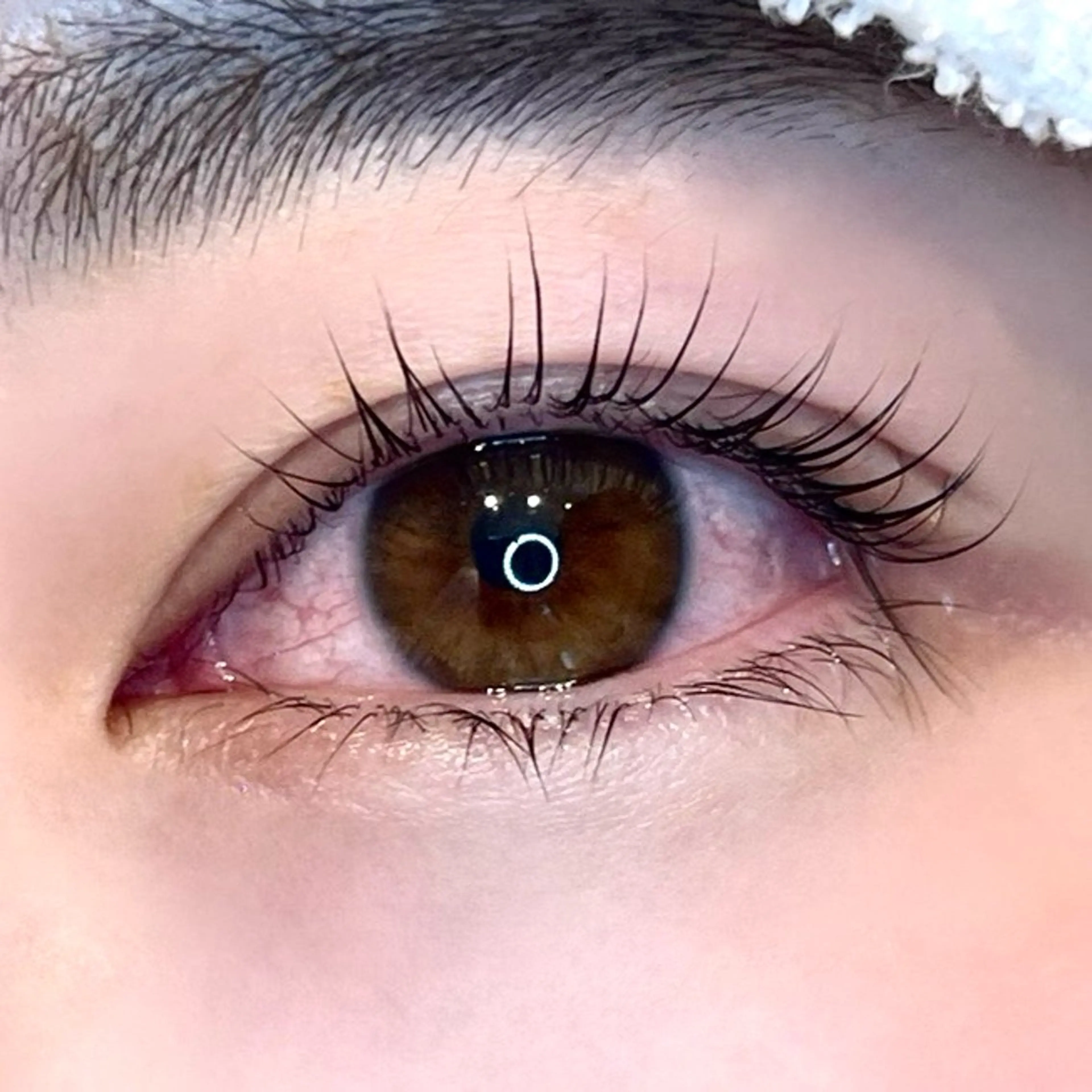 マツエク・マツパ マツパ メゾンドシャルム NISHIKAWAのマツエク・マツパデザイン