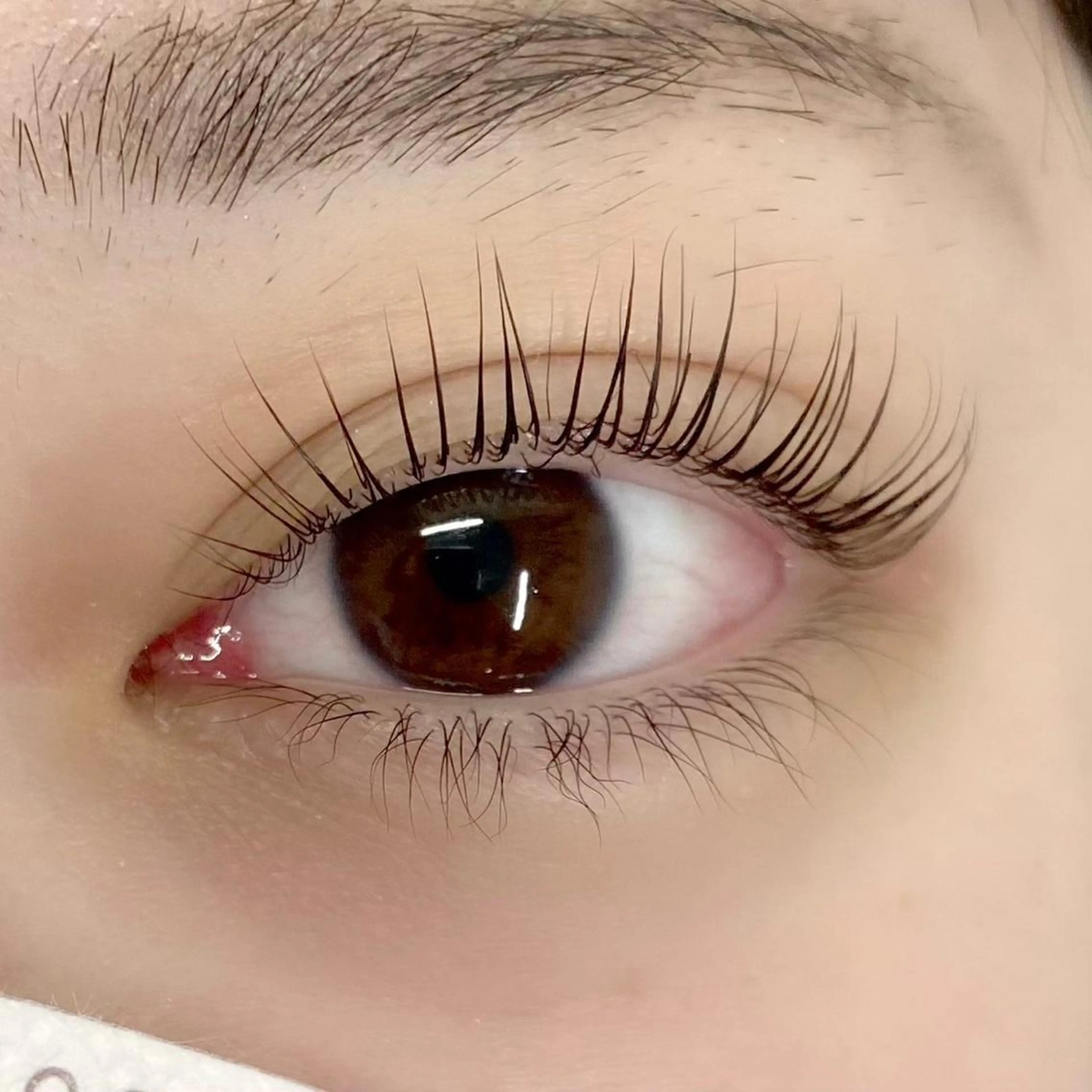 マツエク・マツパ パリジェンヌラッシュリフト 【やり放題専門店】 スカルプ＆長さ出しのネイルデザイン