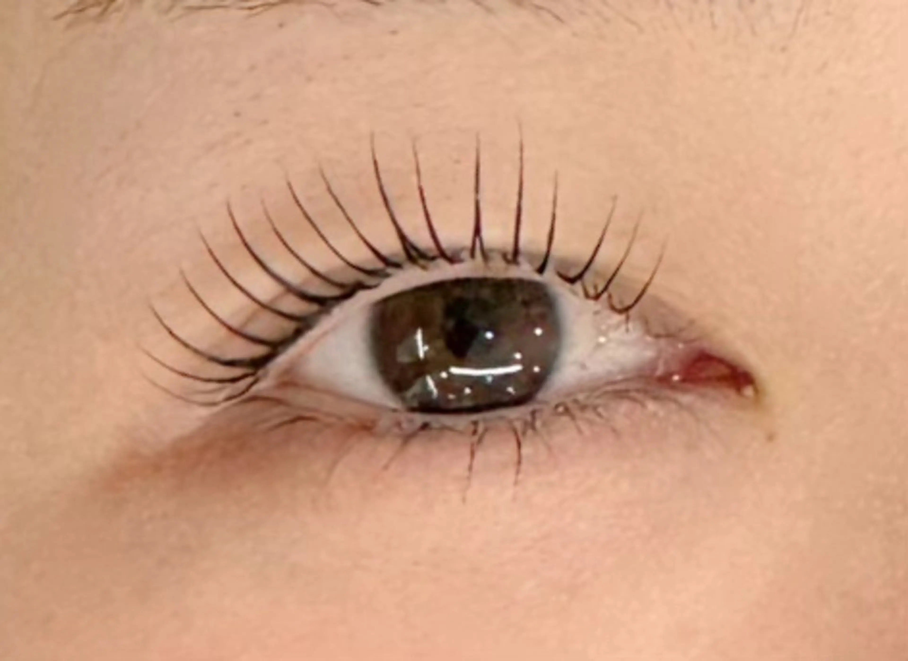 マツエク・マツパ emma MINORIのエステ・リラクイメージ