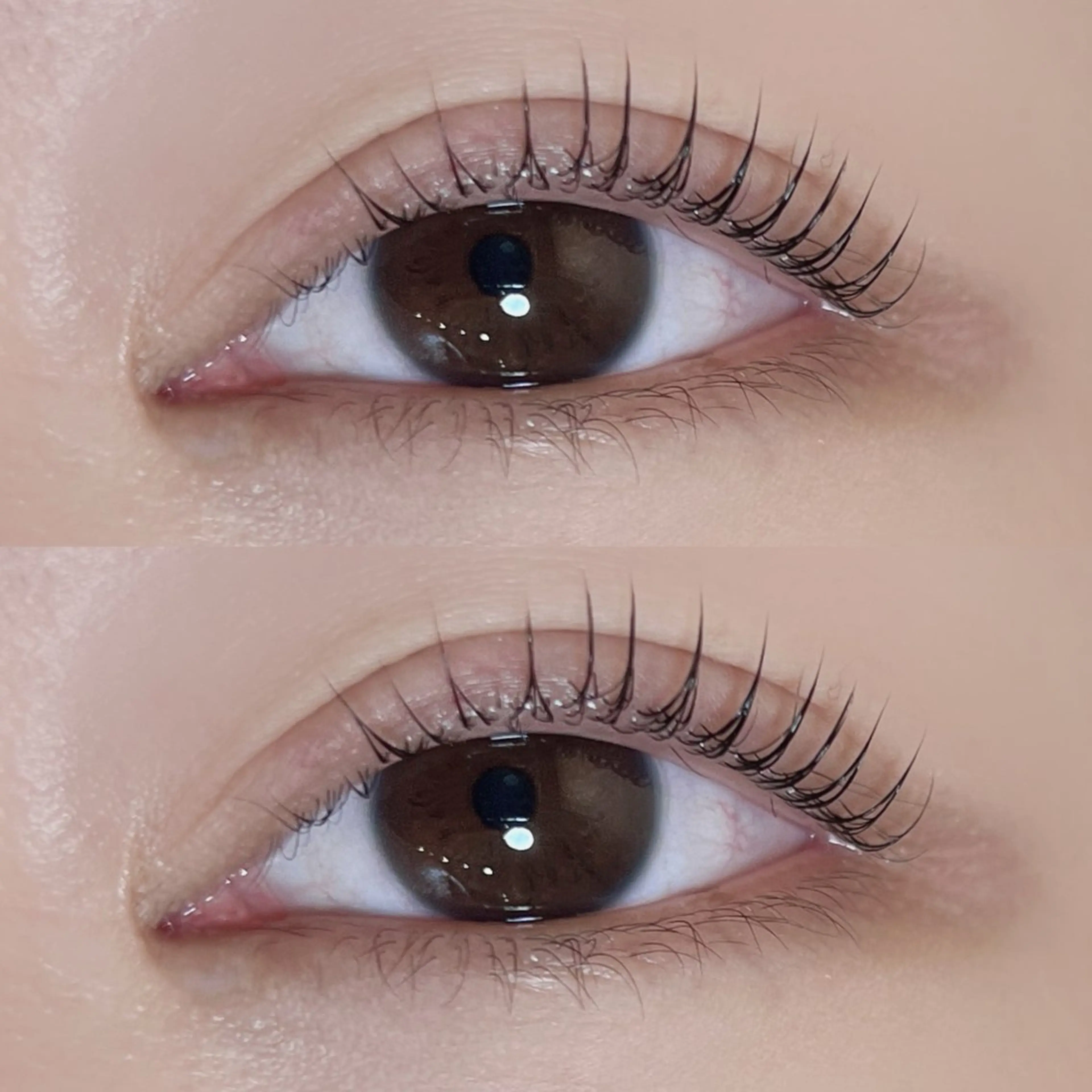 マツエク・マツパ パリジェンヌラッシュリフト ᴇʏᴇʟɪsᴛ ᴍɪᴋɪ️🫧のマツエク・マツパデザイン