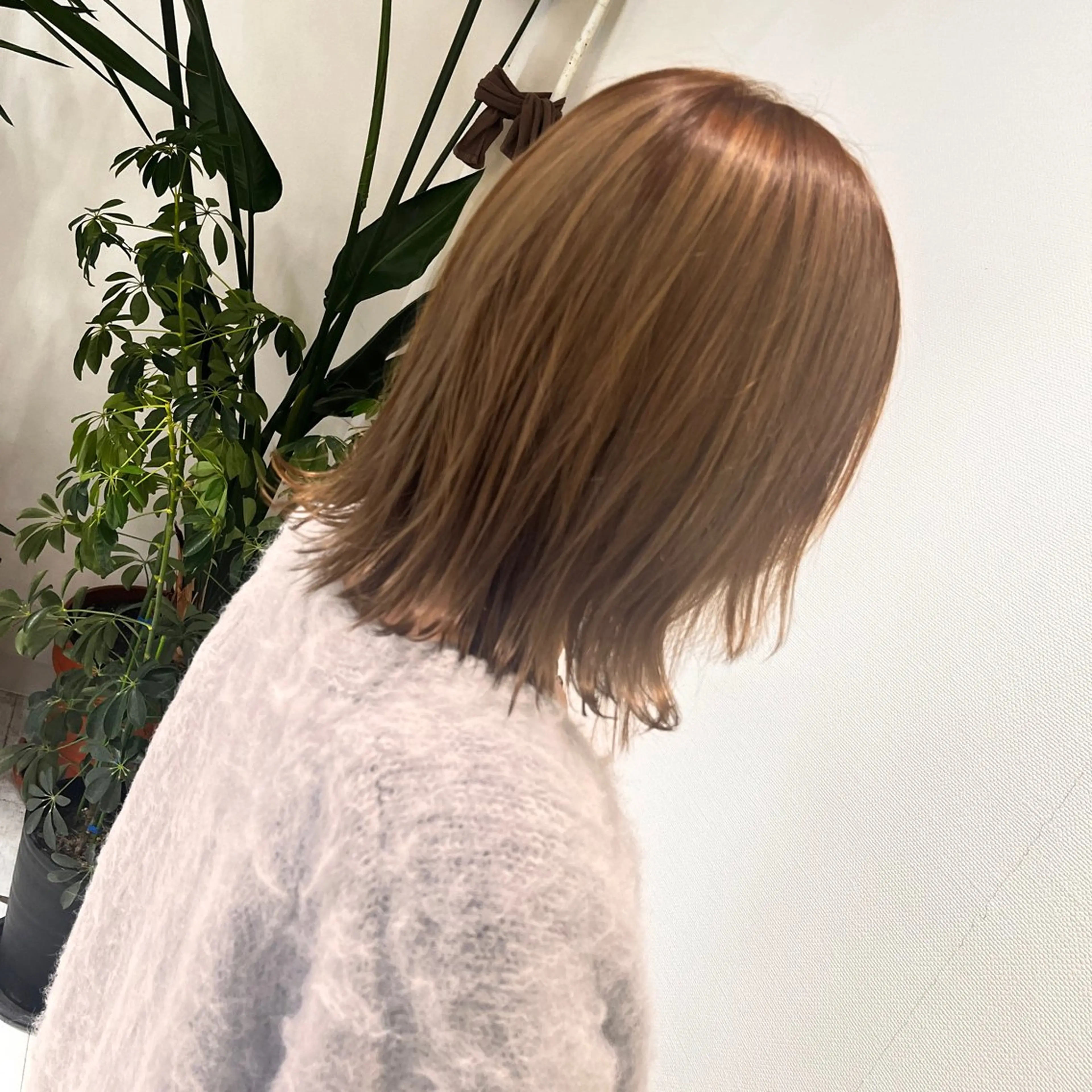 ミディアム カラー Hattori Ryukiのヘアスタイル