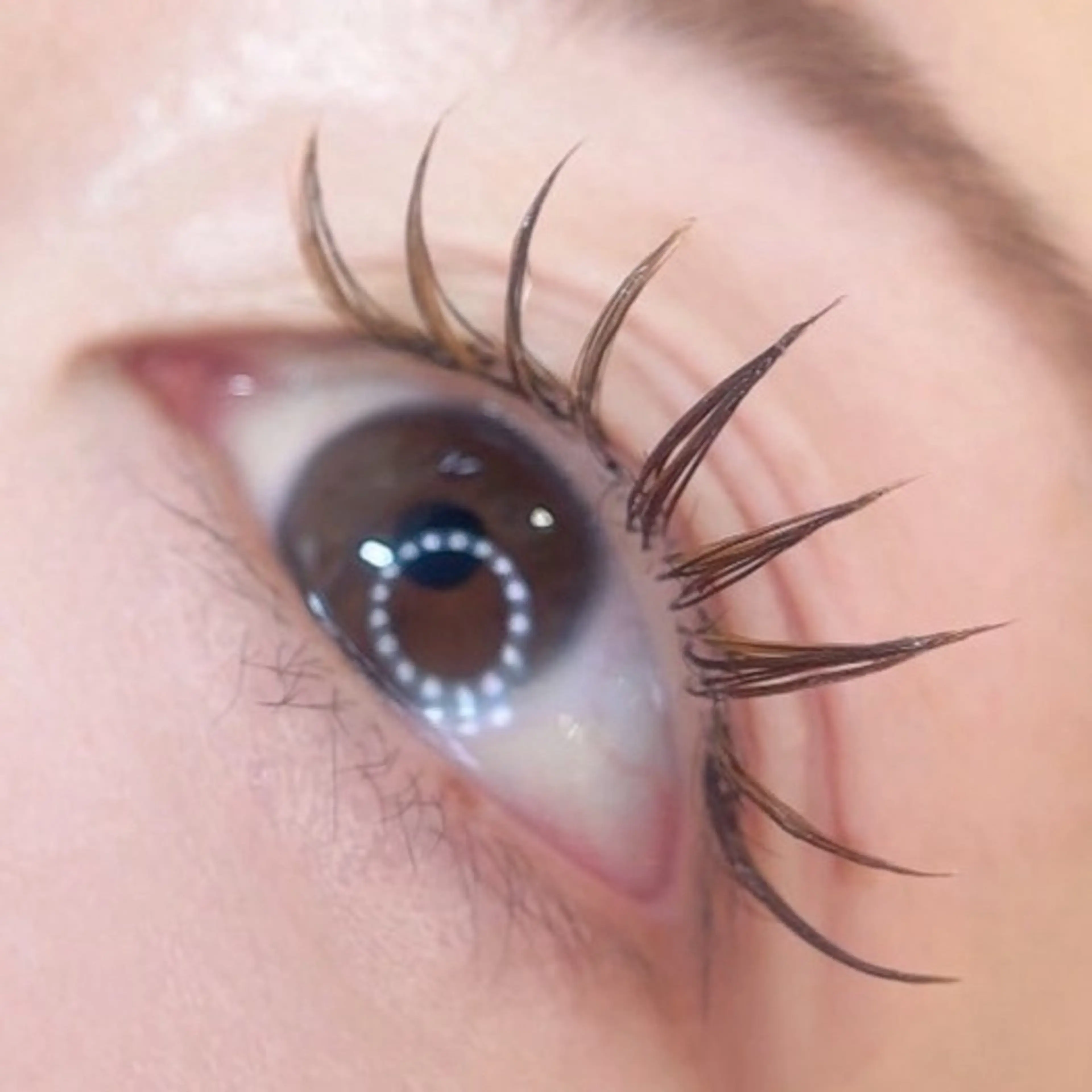 マツエク・マツパ マツエク 🎀韓国風ワンホン・ パリエク特化🎀りほのマツエク・マツパデザイン