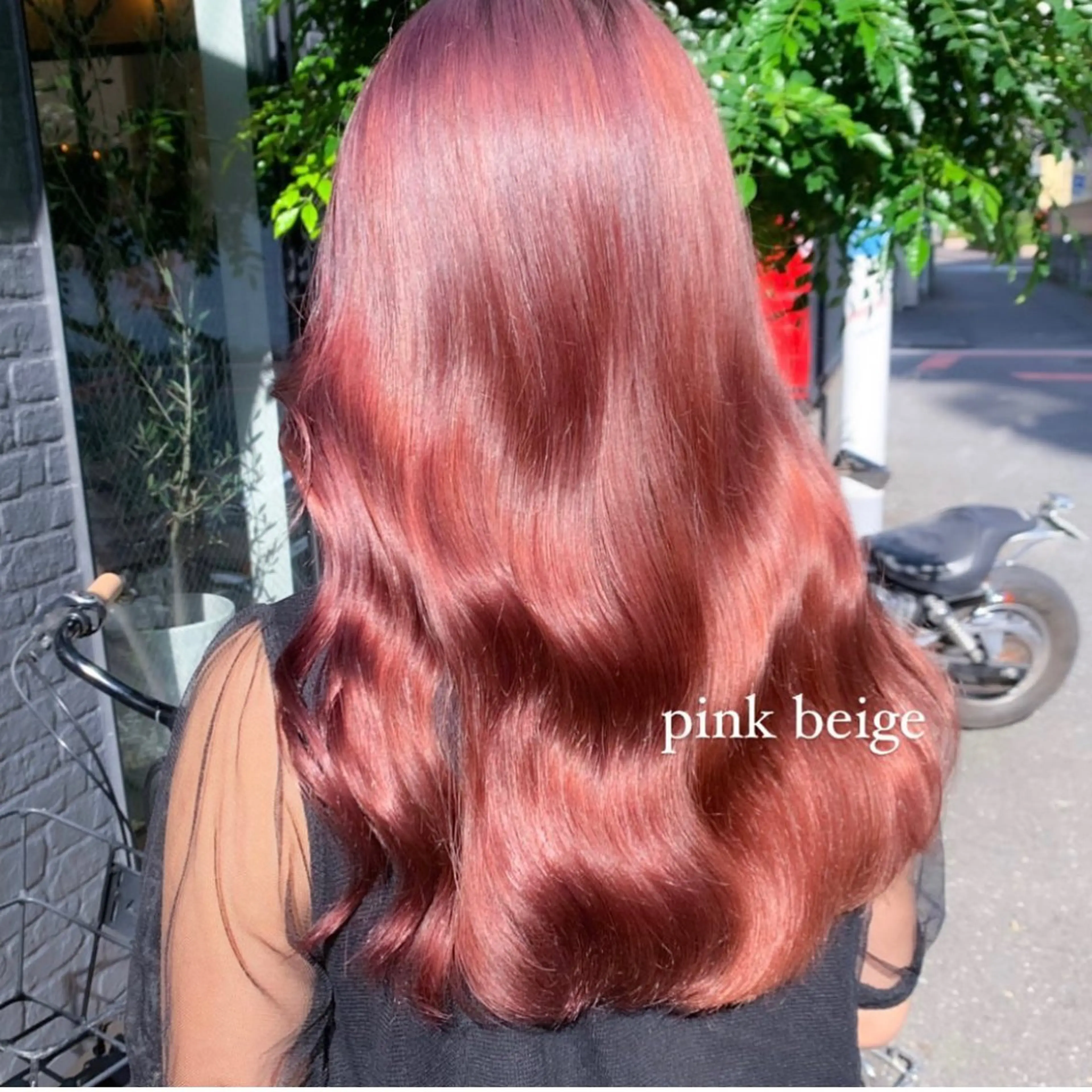 ミディアム カット ヘアカラー トリートメント 🤍aimi🤍 ウルフ/韓国ヘアのヘアスタイル