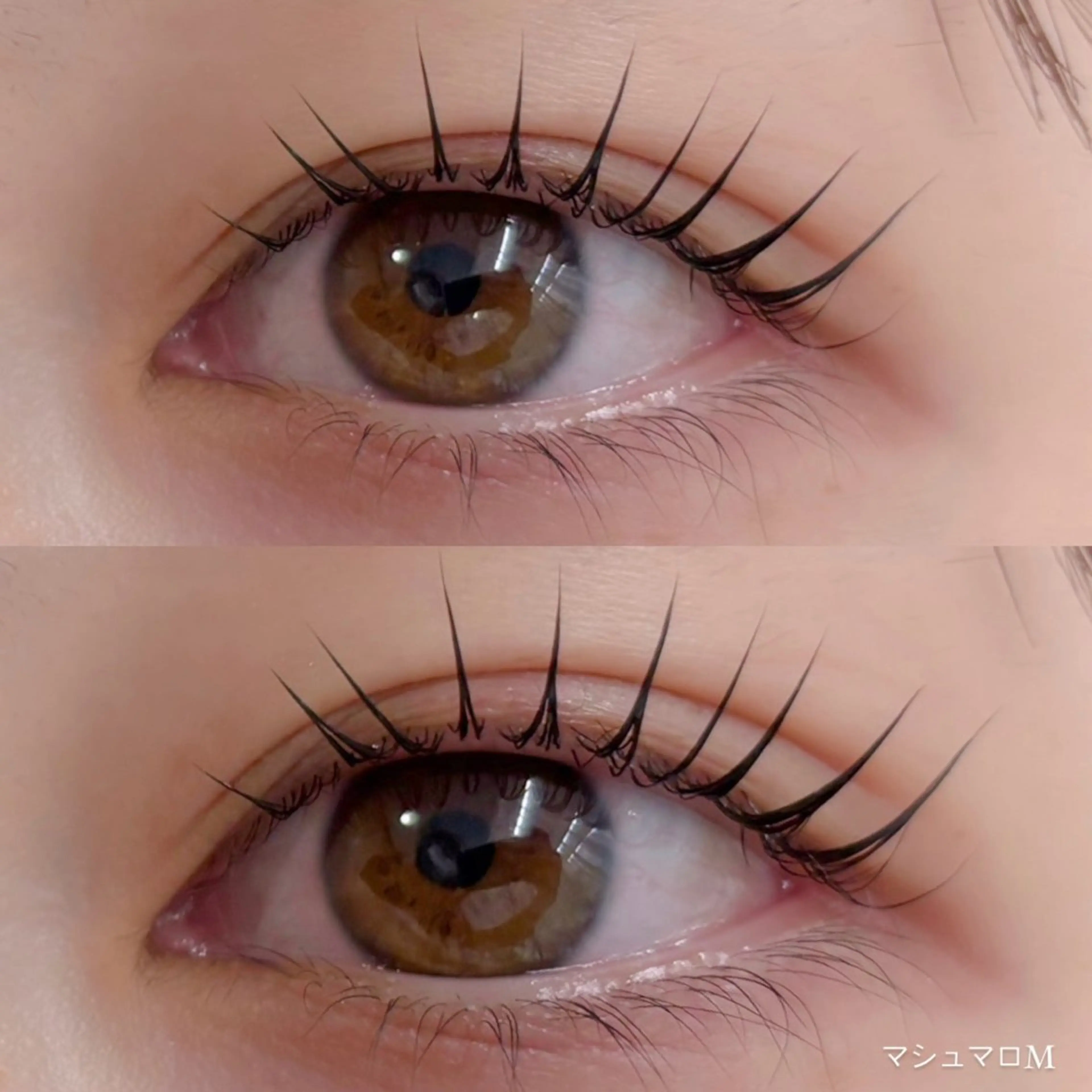 マツエク・マツパ パリジェンヌラッシュリフト shucre栄店 🎀momoのマツエク・マツパデザイン