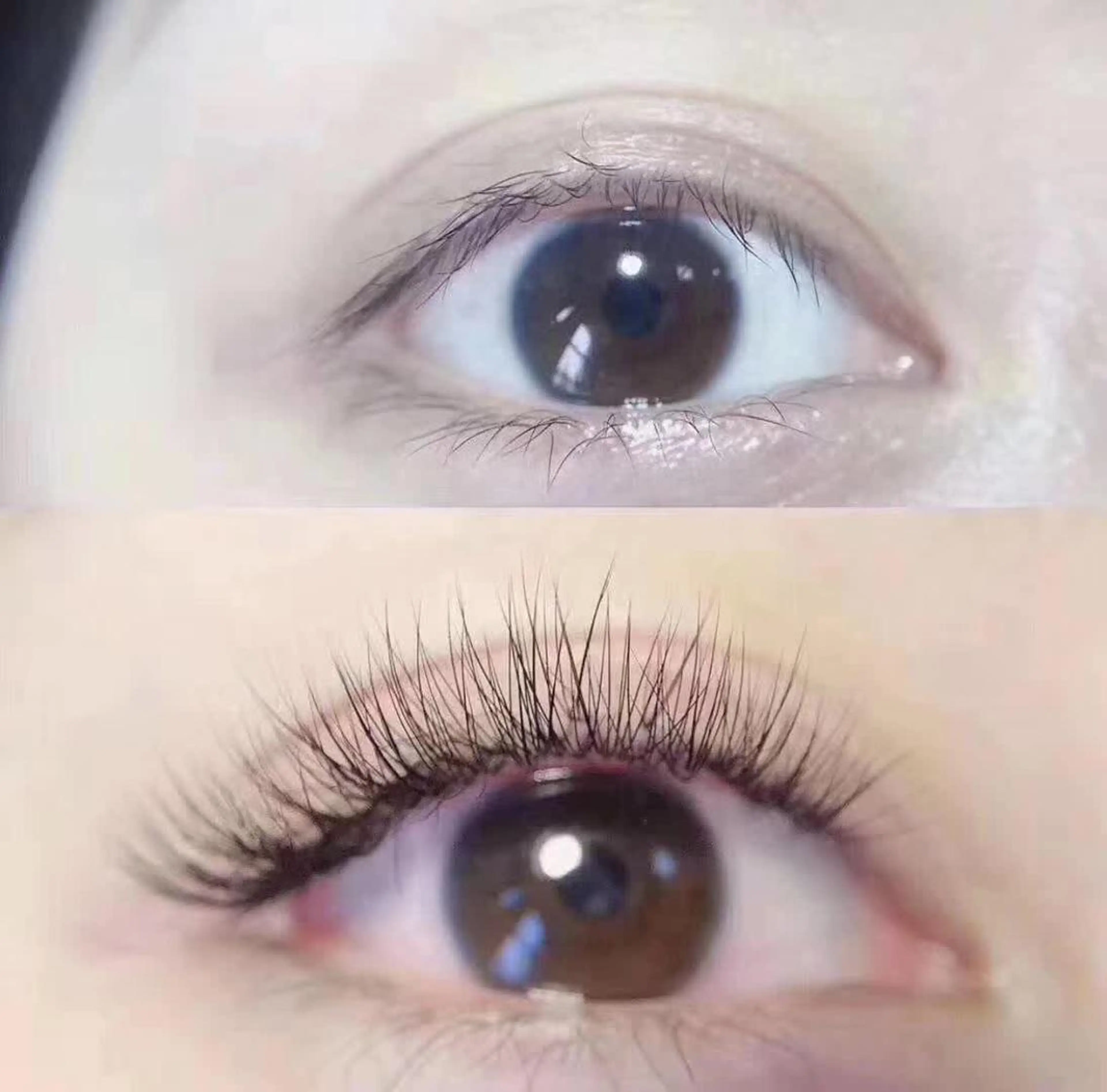 マツエク・マツパ フラットラッシュ マツエク 羽賀 美和のマツエク・マツパデザイン