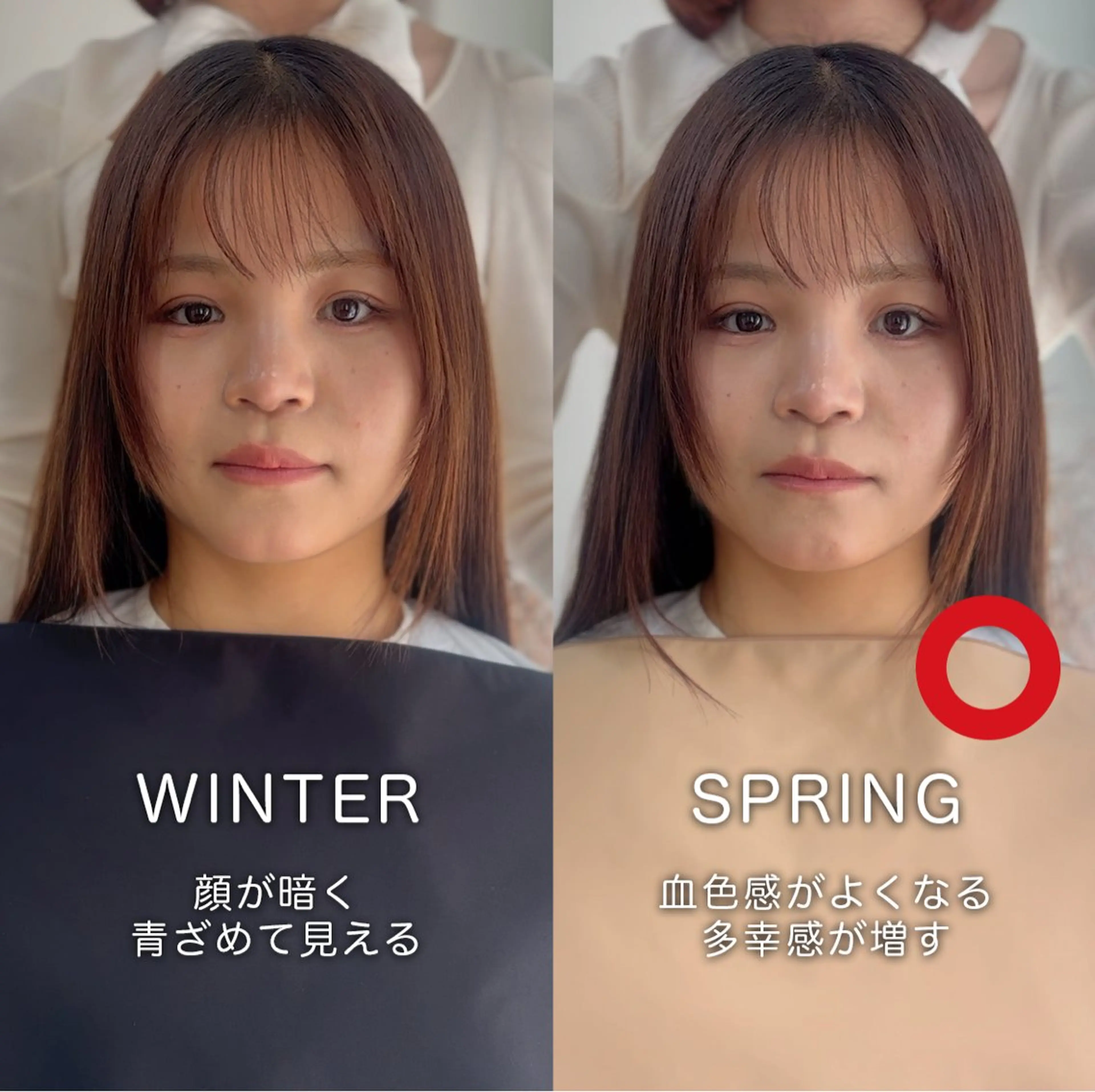 パーソナルカラー骨格 顔タイプ pulipのその他イメージ