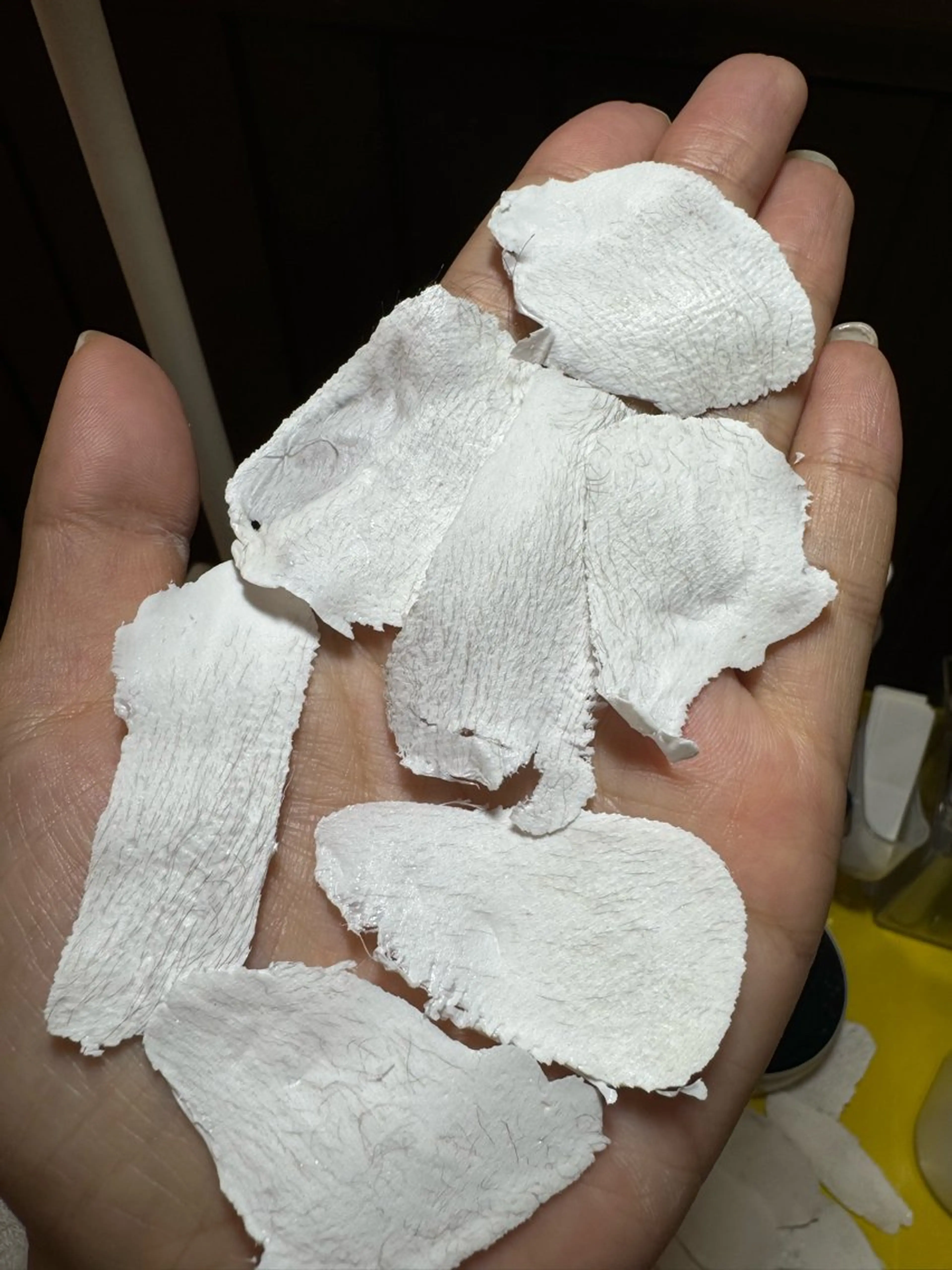 アイラッシュサロン anのマツエク・マツパデザイン