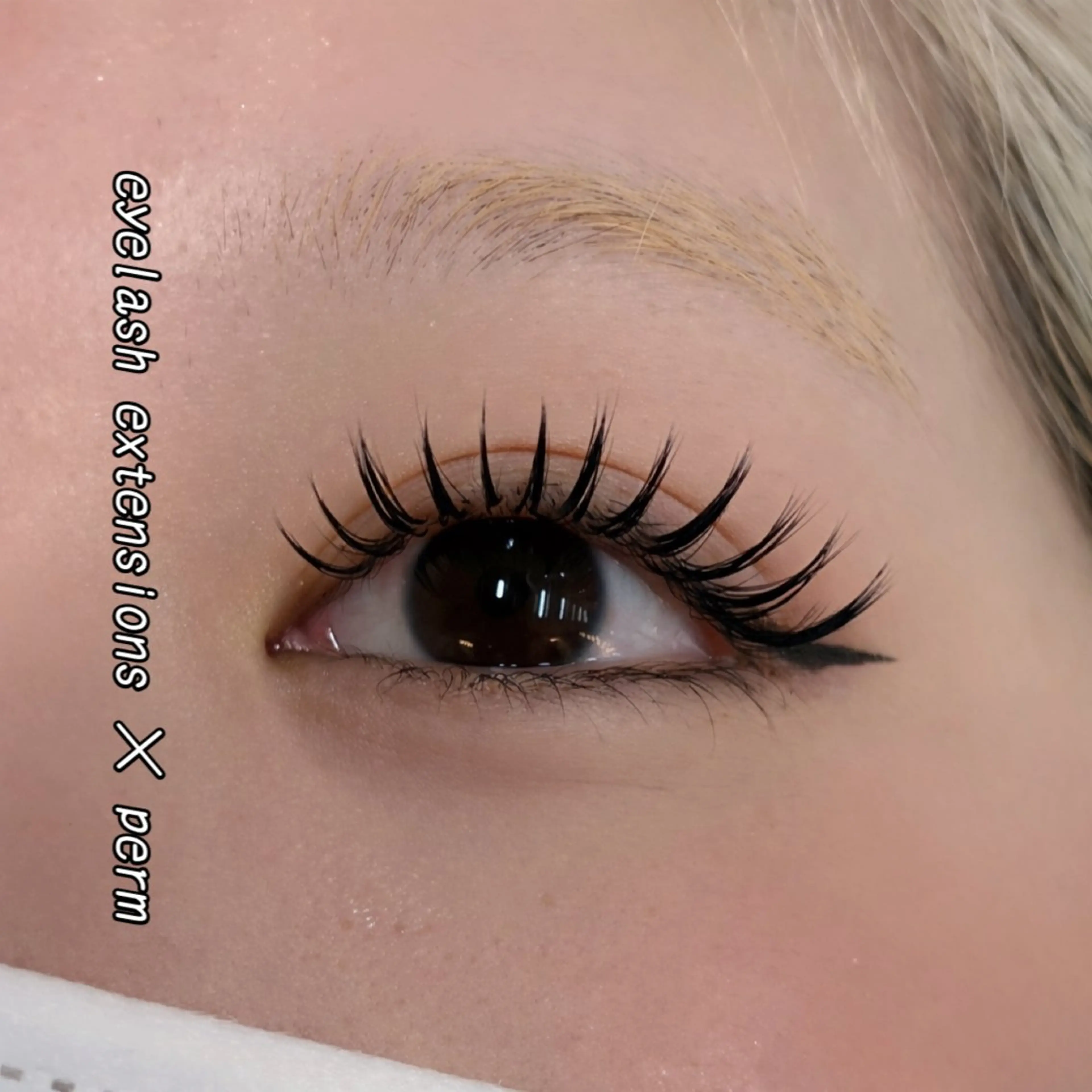 マツエク・マツパ マツエク 最強美髪💙ྀི/ アイ兼任👀/ミナルのヘアスタイル