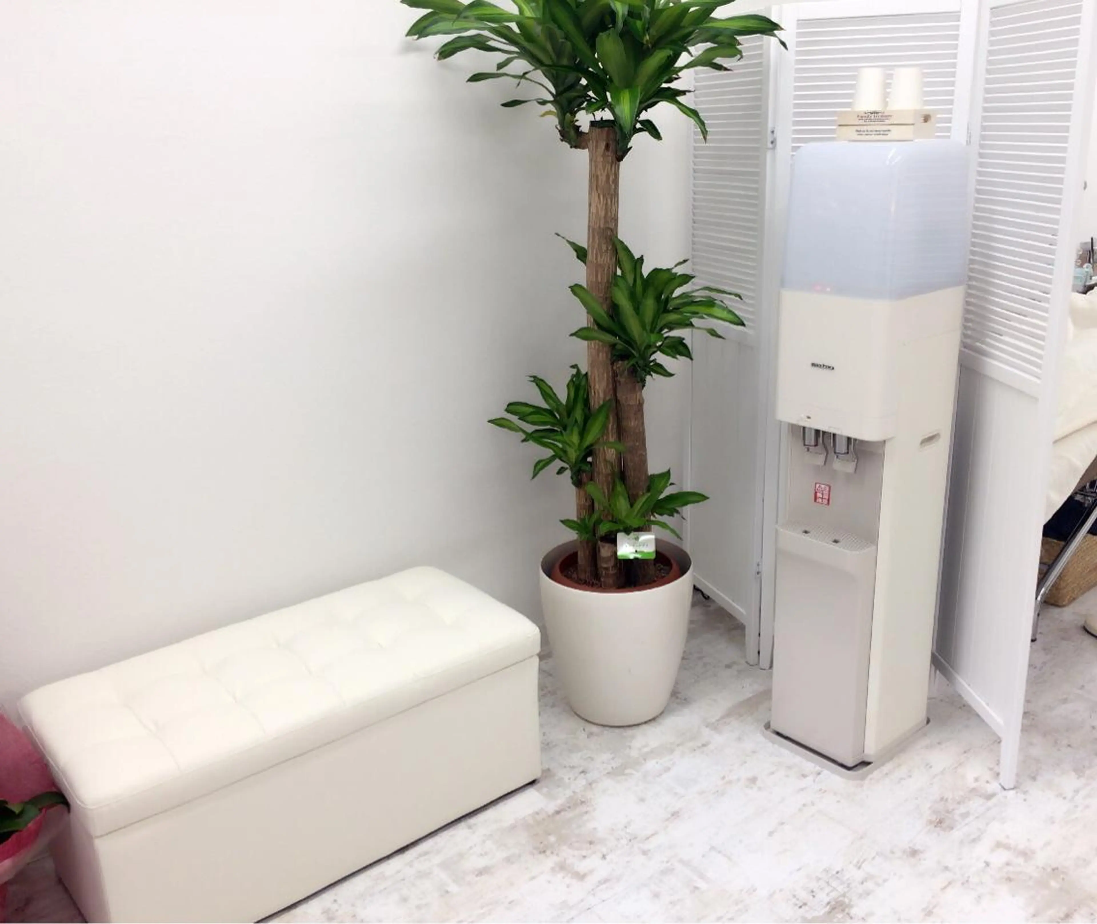 マツエク・マツパ chelien 下赤塚のマツエク・マツパデザイン