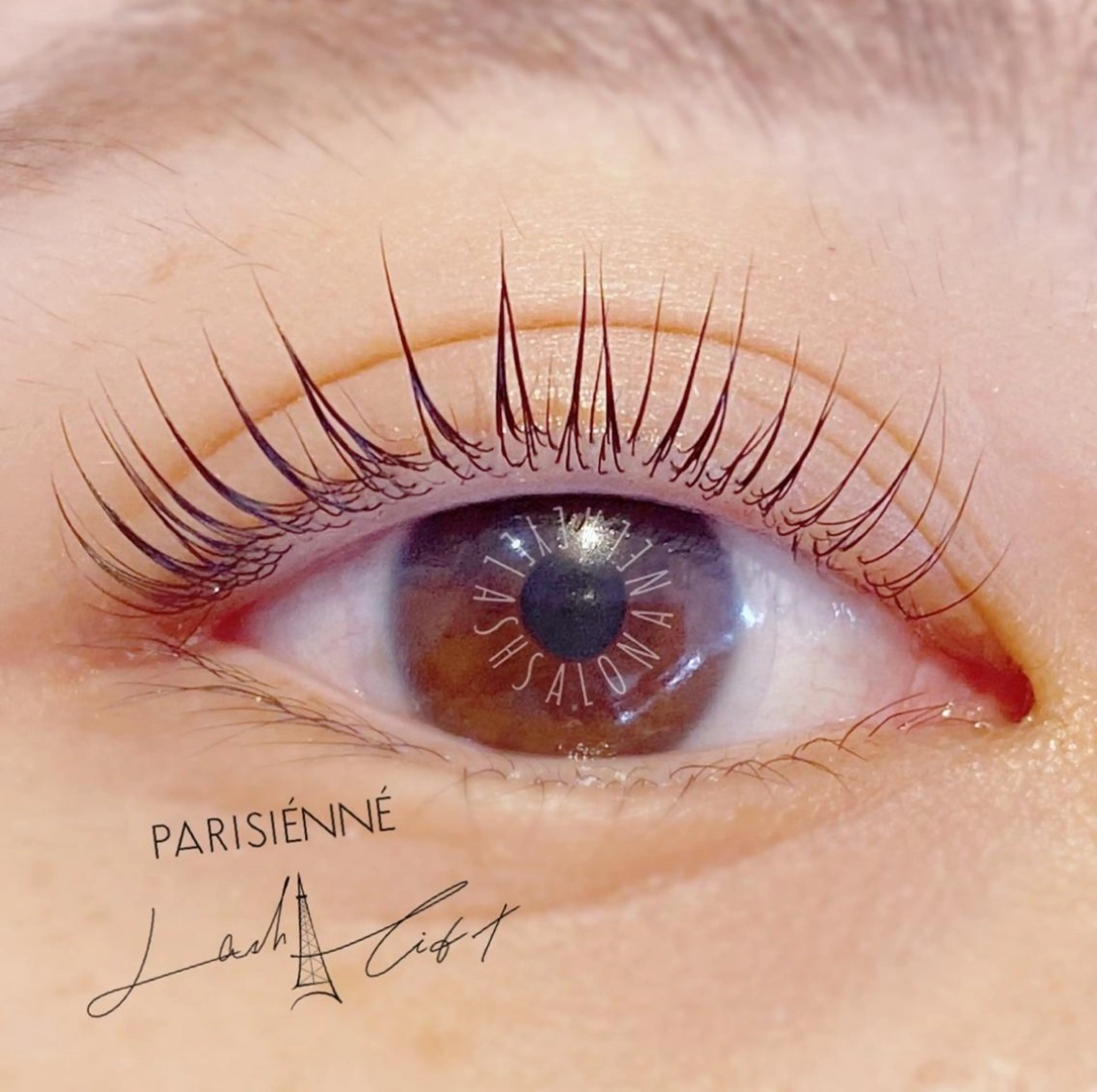 マツエク・マツパ Anela 🦋HARUMIの眉毛・アイブロウイメージ