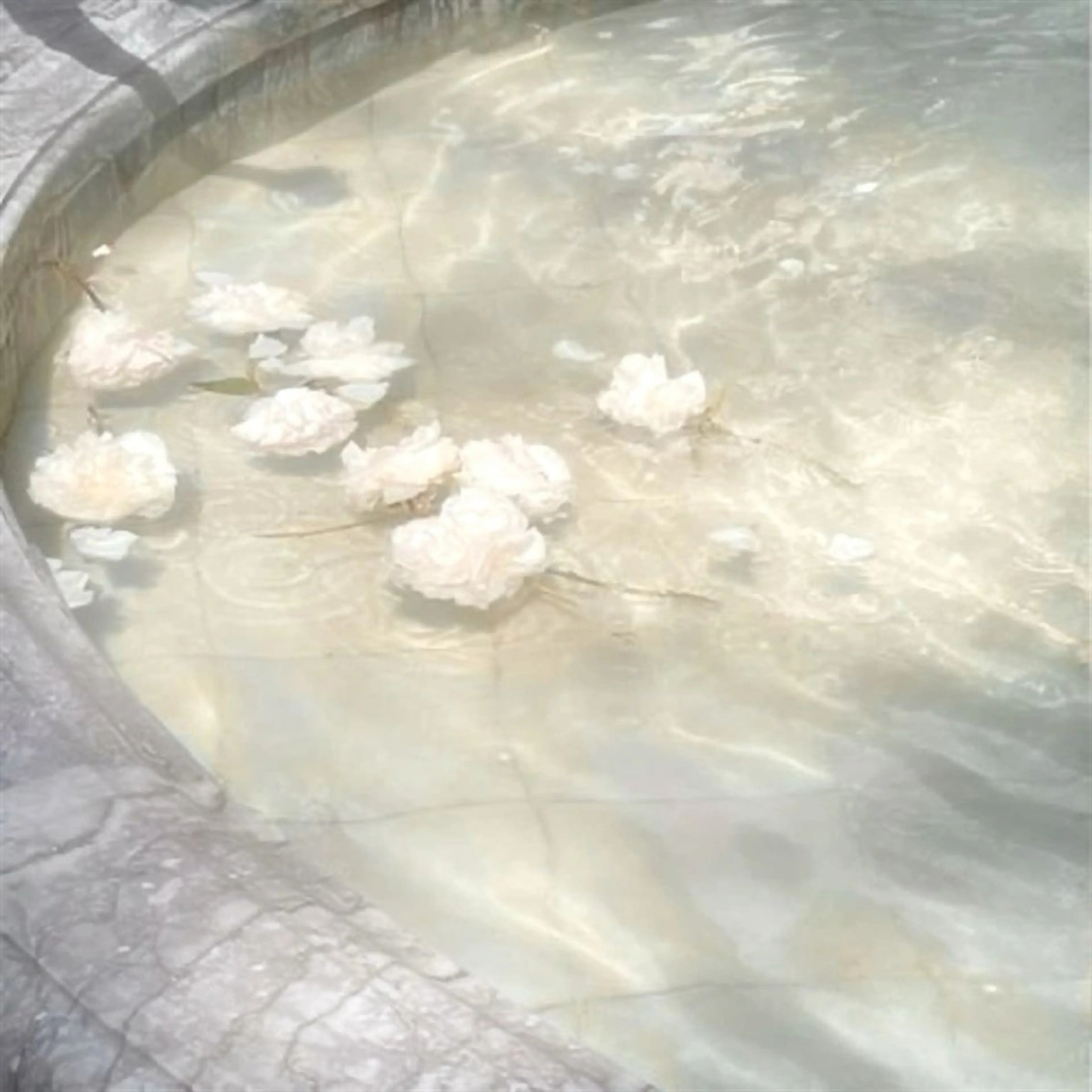 🎀マリーテレジア OKAZAWA🎀のマツエク・マツパデザイン