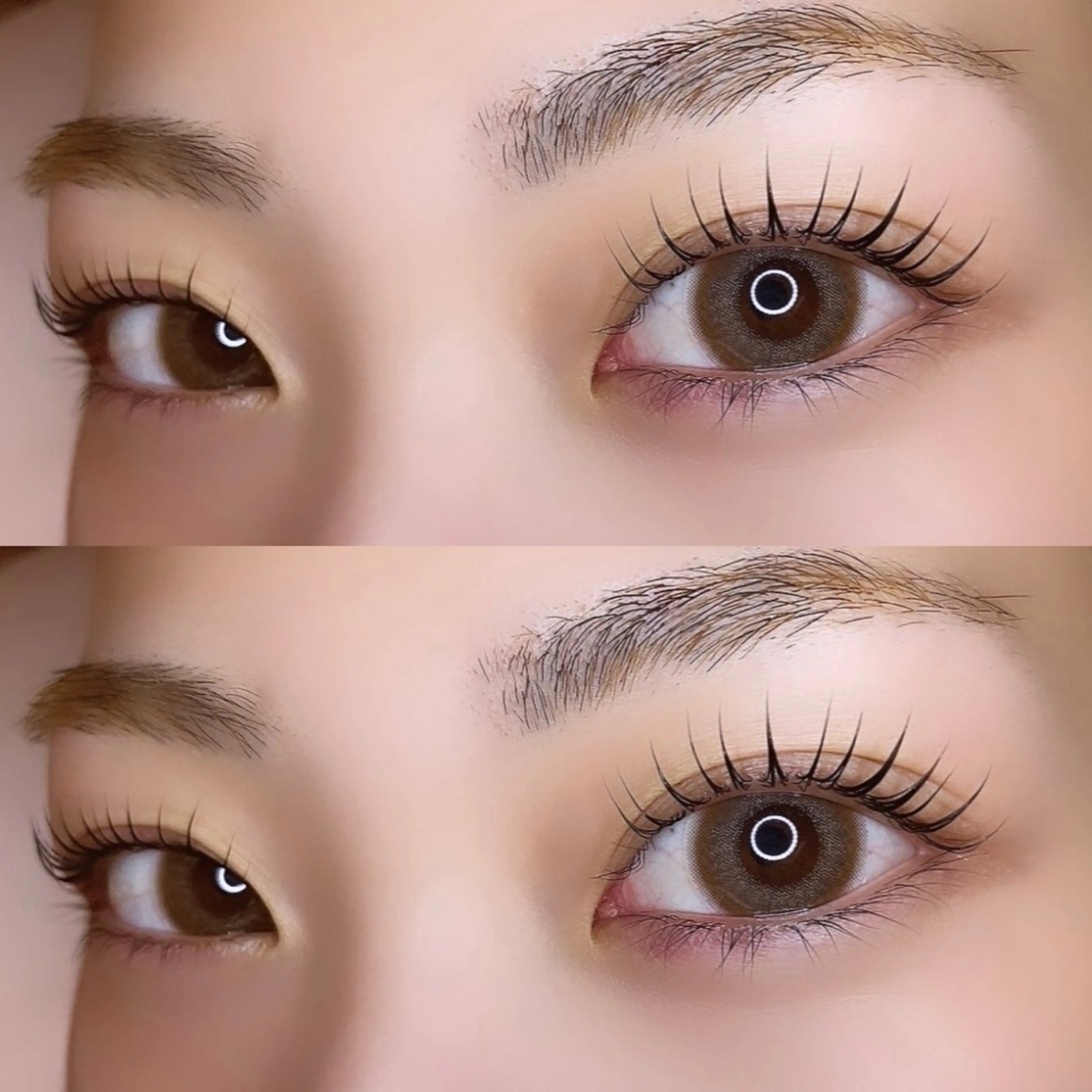 ❤️🔥当日限定パリジェンヌラッシュリフト❤️🔥(お仕上げコーティング付き)の写真