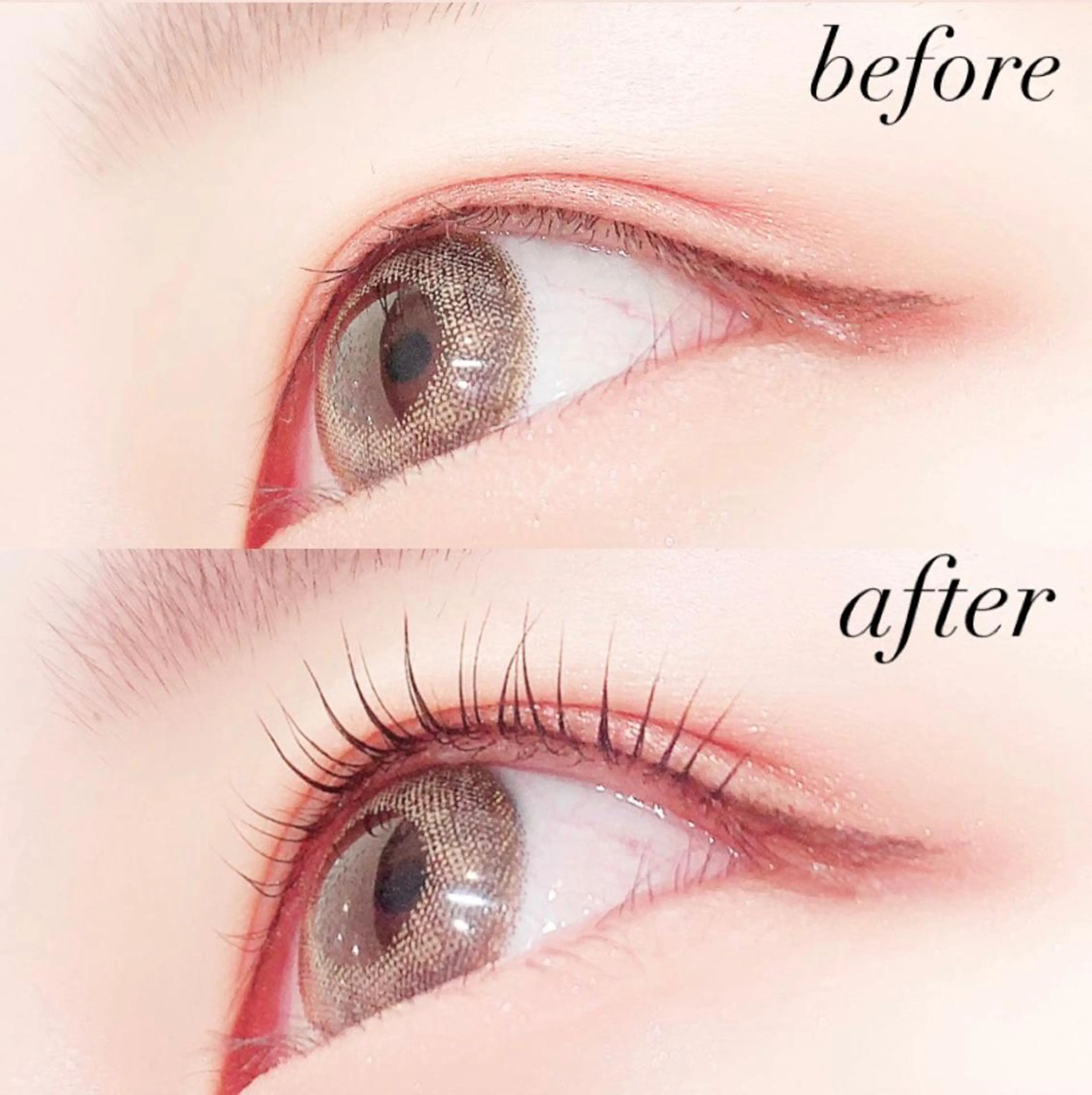 マツエク・マツパ まつげパーマ 【Lanhr】 🕊aya🕊のマツエク・マツパデザイン