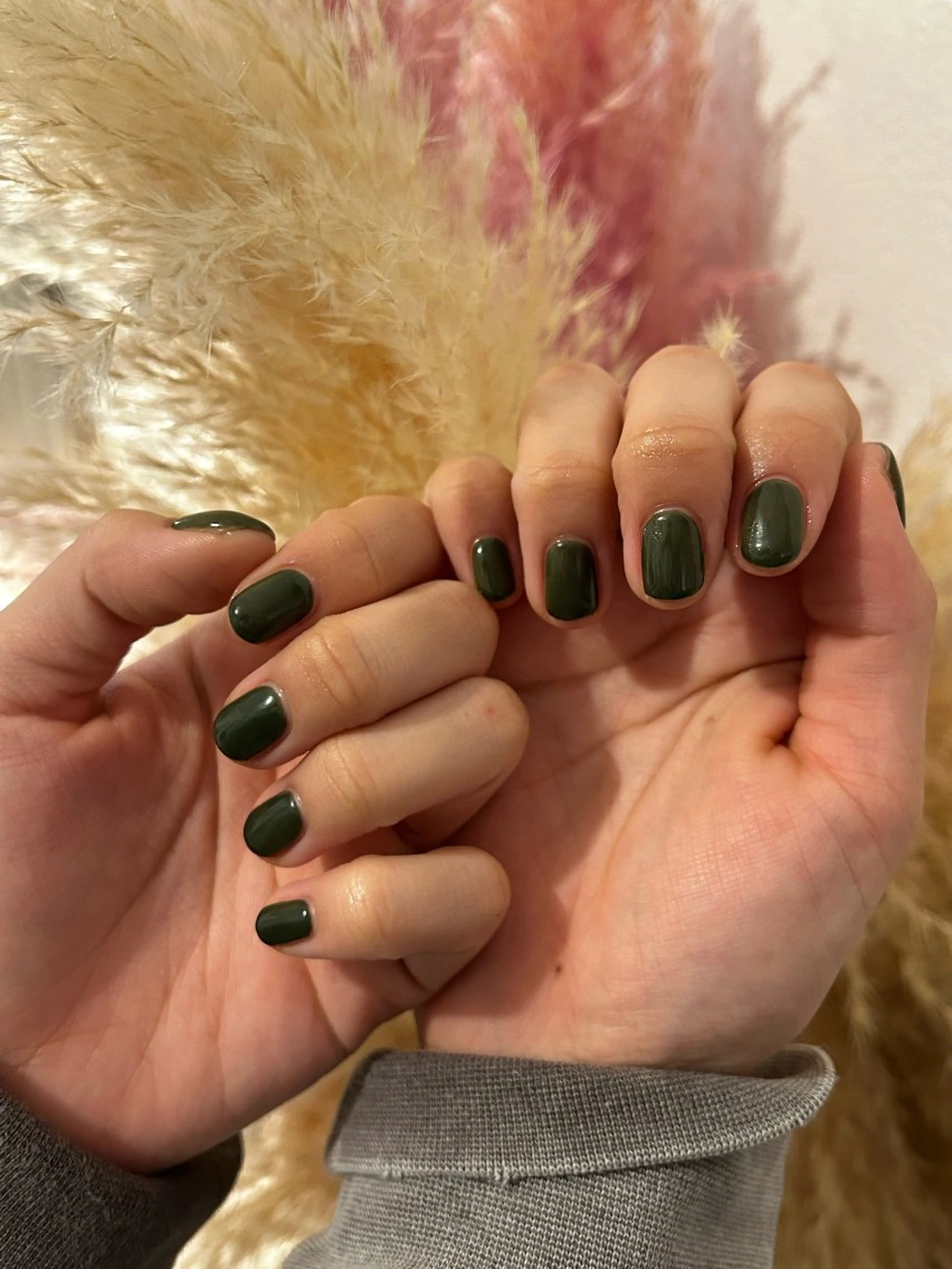 ワンカラーの写真