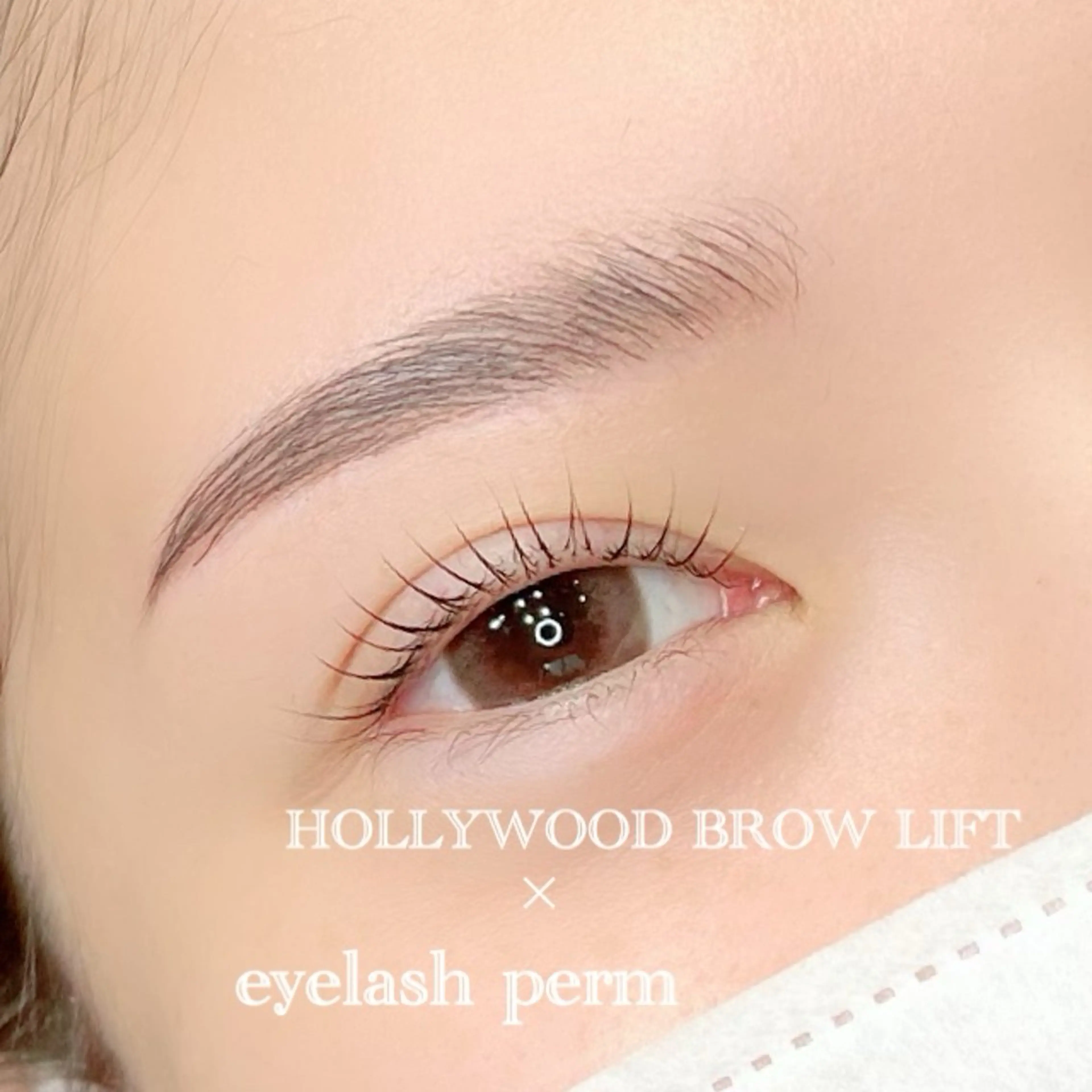 アイブロウ Eye lashのマツエク・マツパデザイン