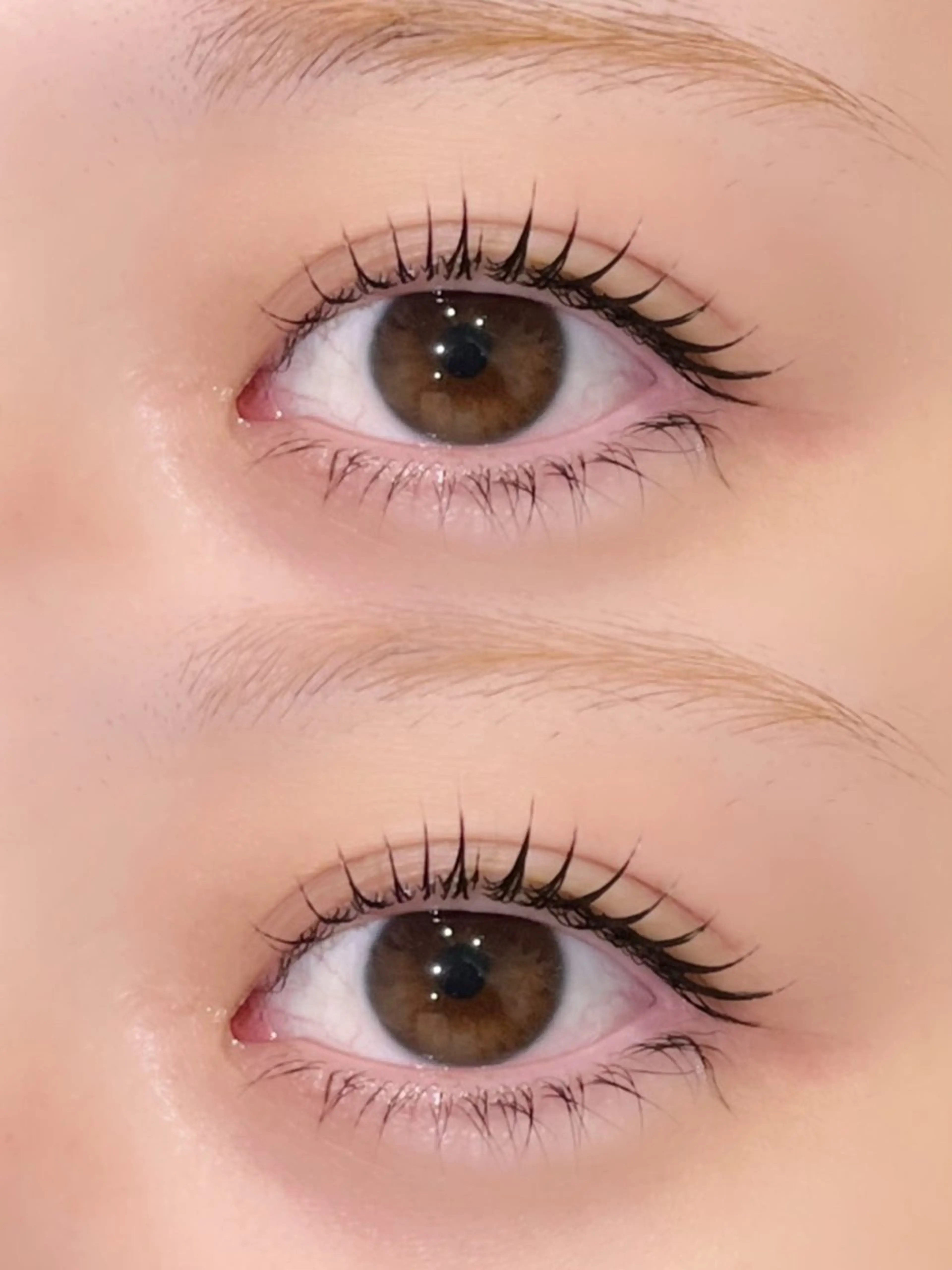 🌸3月・4月クーポン🌸まつ毛パーマ《コーティング仕上げ》の写真