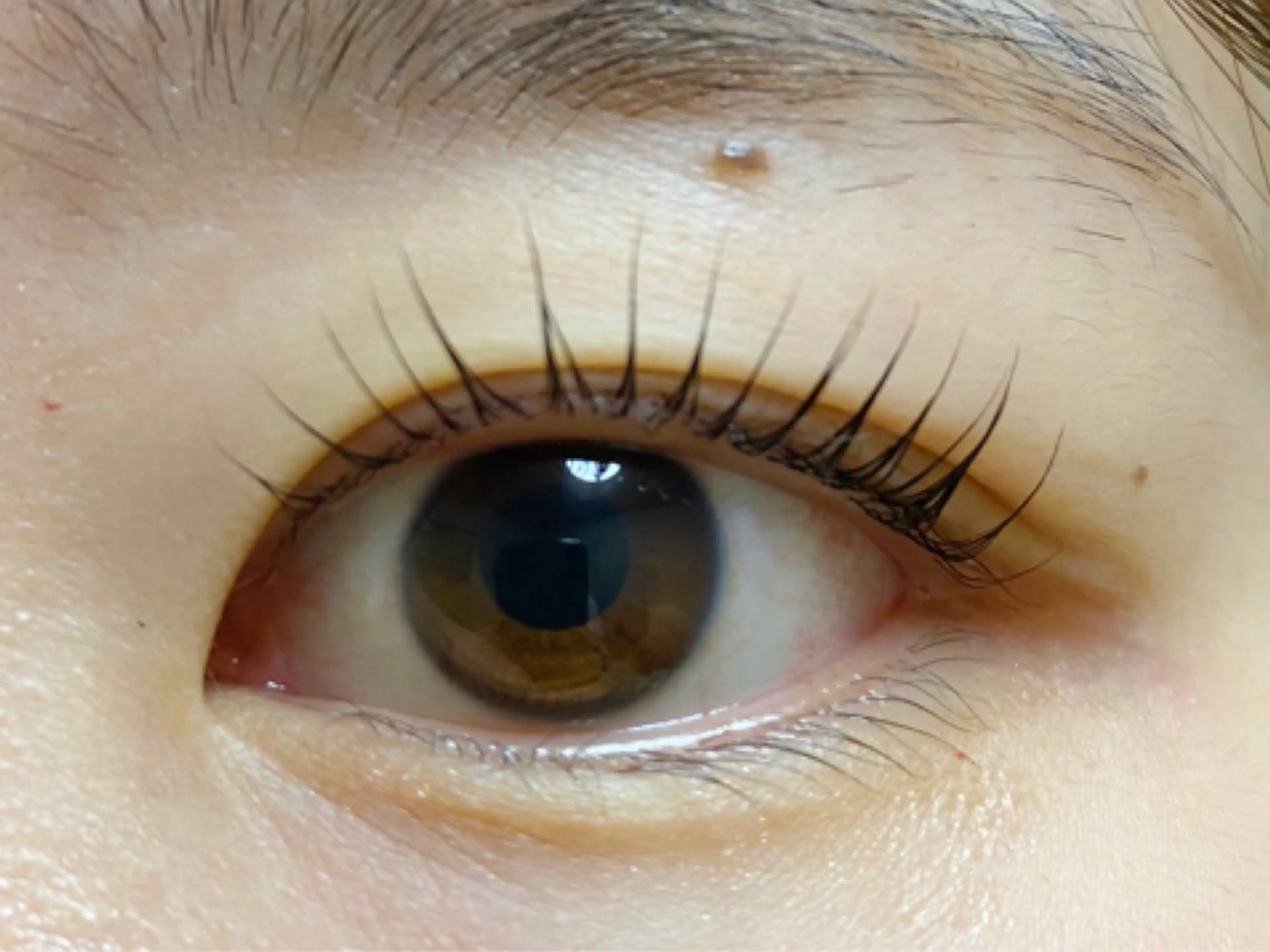 マツエク・マツパ 束感まつ毛 まつげパーマ マツパ セレビアイ 新越谷店のマツエク・マツパデザイン