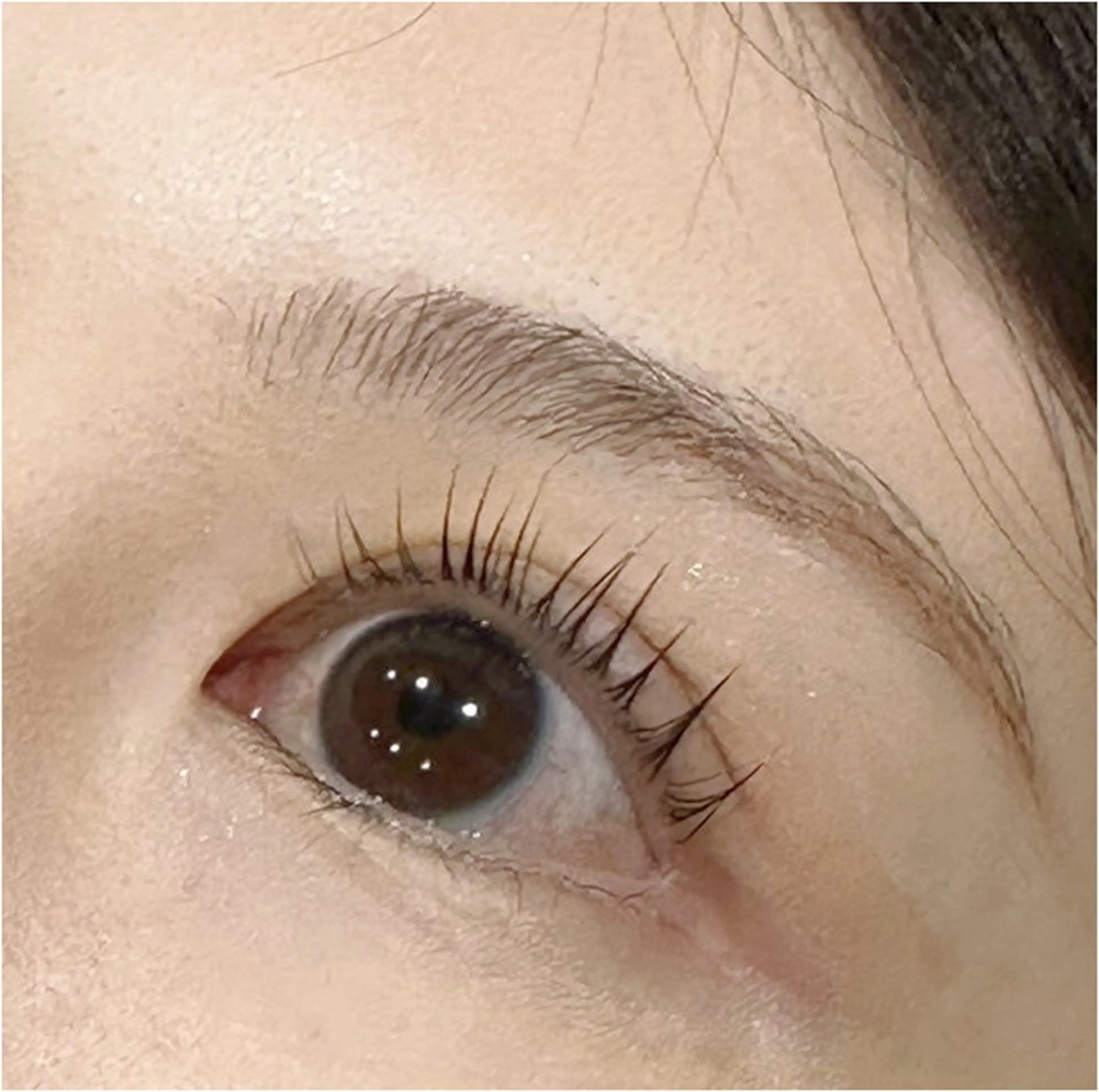 【練習メニュー】パリジェンヌ ラッシュ リフトの写真