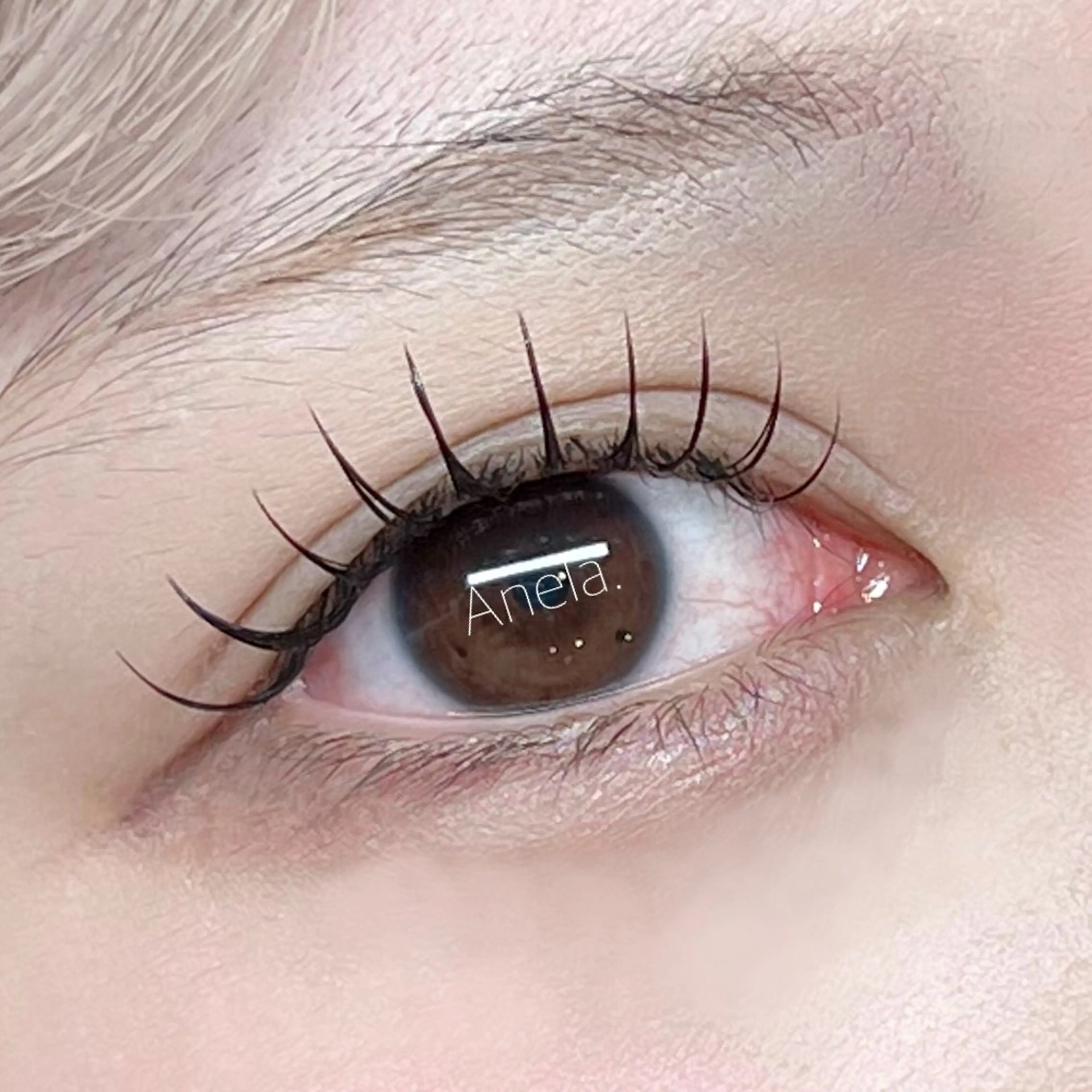 アンドヘルシー120本の写真