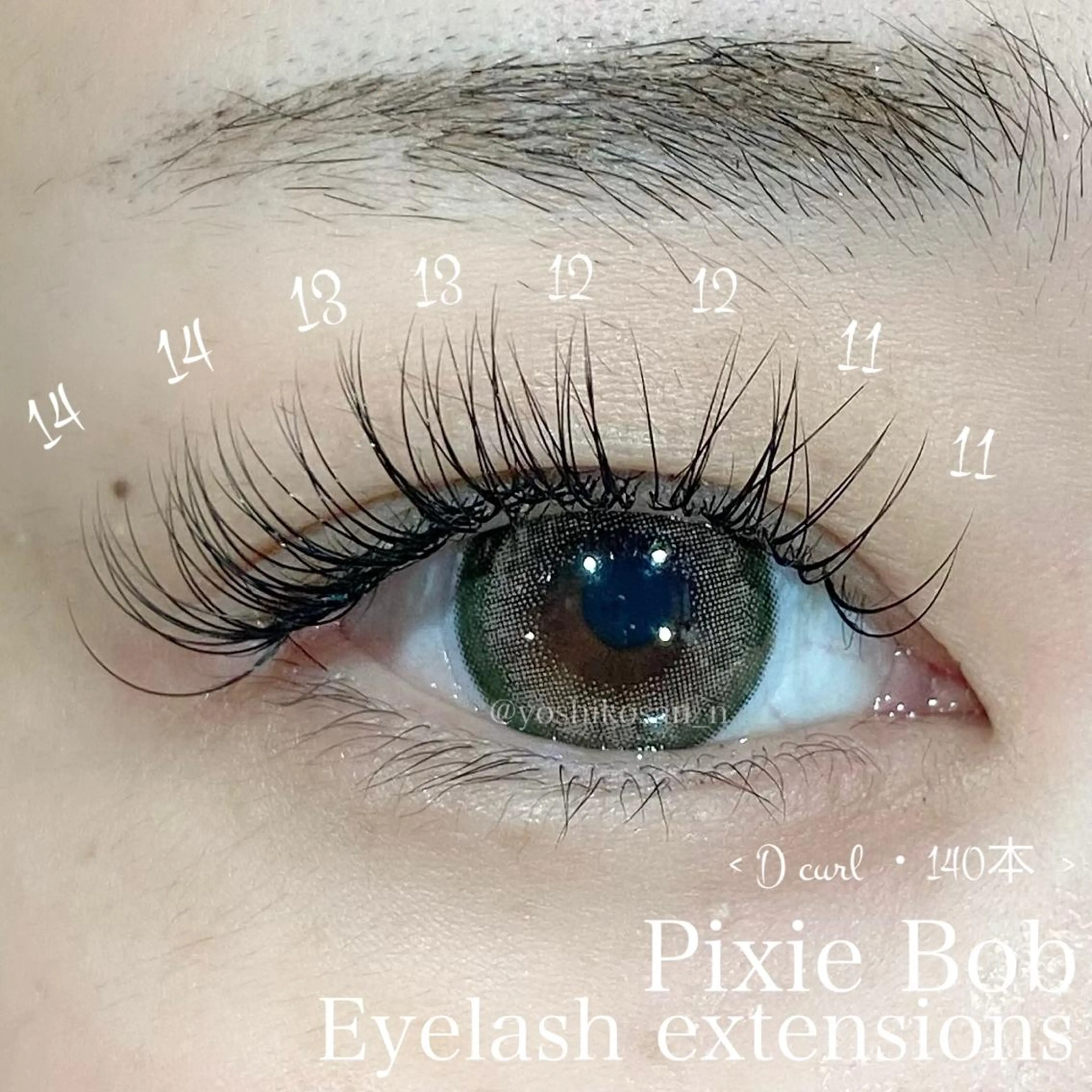 マツエク・マツパ マツエク Pixie Bob 🐈‍⬛　位田のマツエク・マツパデザイン