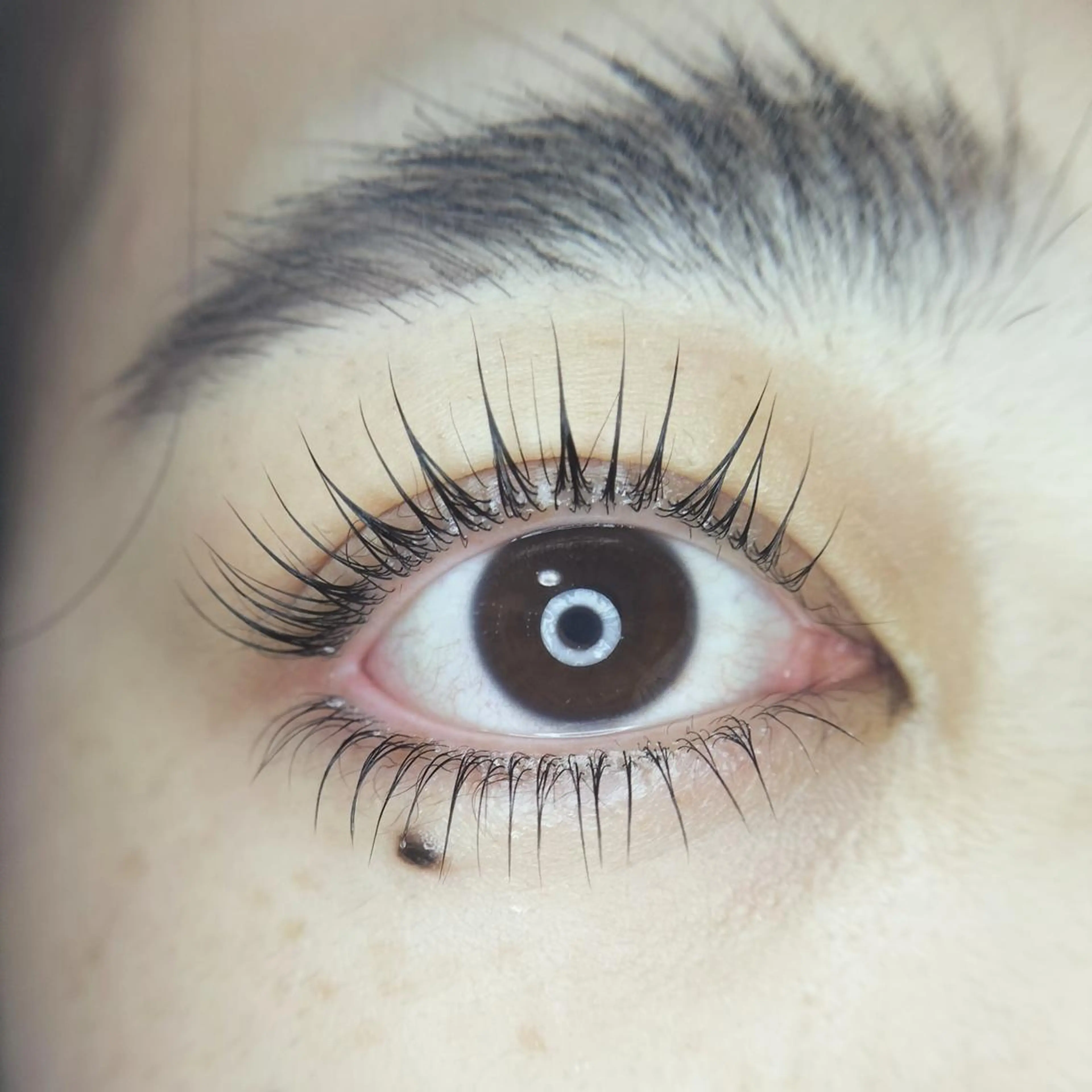 マツエク・マツパ サロン リアンのマツエク・マツパデザイン