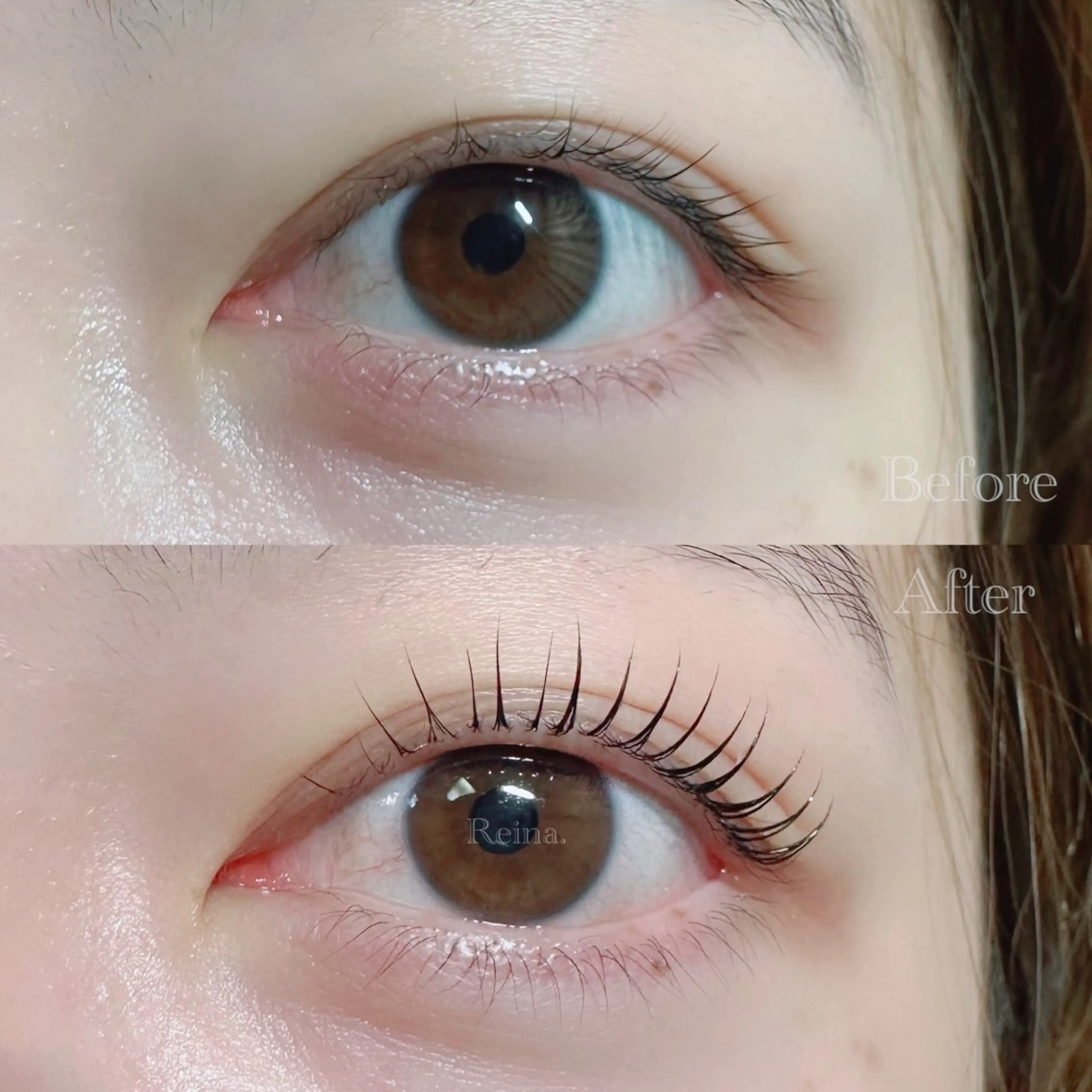 🎀マスカラパーマ🎀(ブラックティント)￤3stepトリートメント、アイパック付￤補足説明要確認の写真