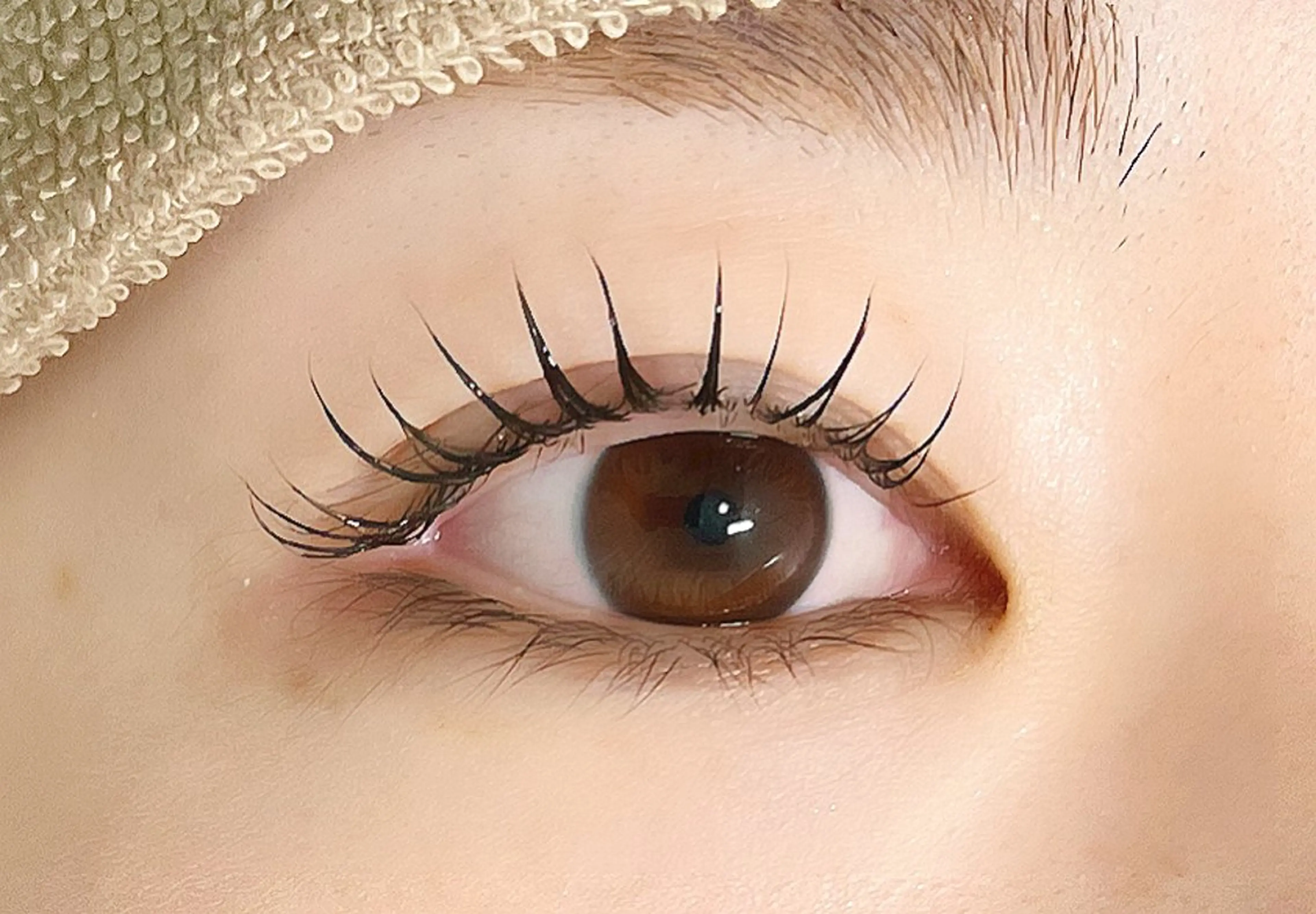 【人気No.3】❣️韓国で話題❣️マスカラパーマ+ブラックコーティング仕上げ💕当日予約⭕️の写真