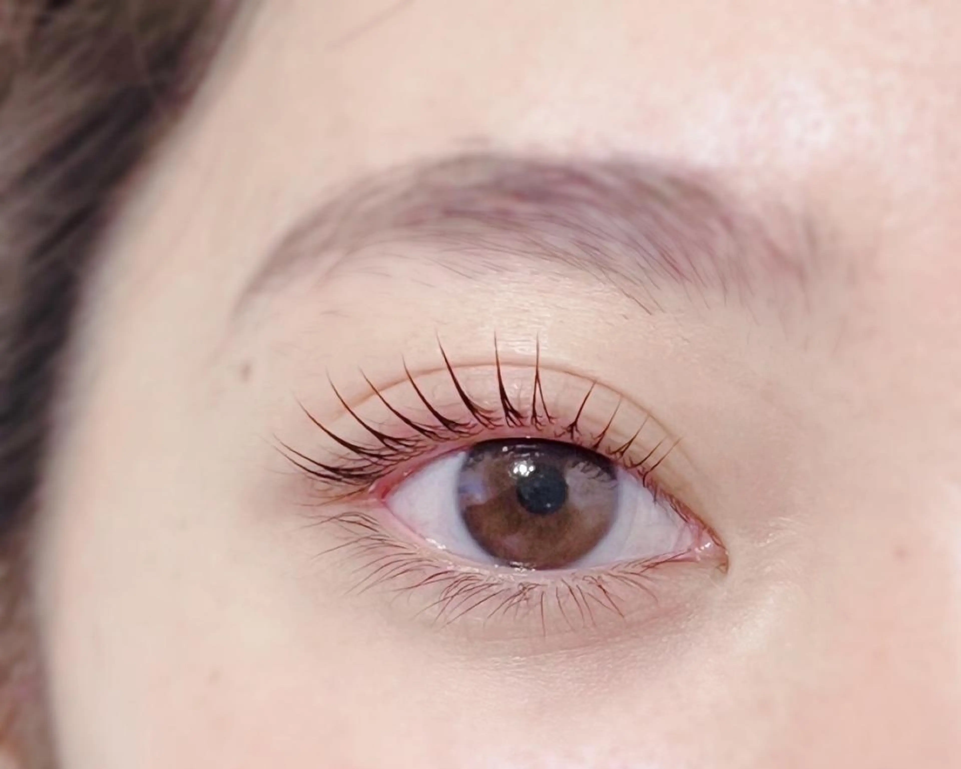 マツエク・マツパ まつげパーマ マツパ Biolus／天王寺 2号店🌸noa🌸のマツエク・マツパデザイン