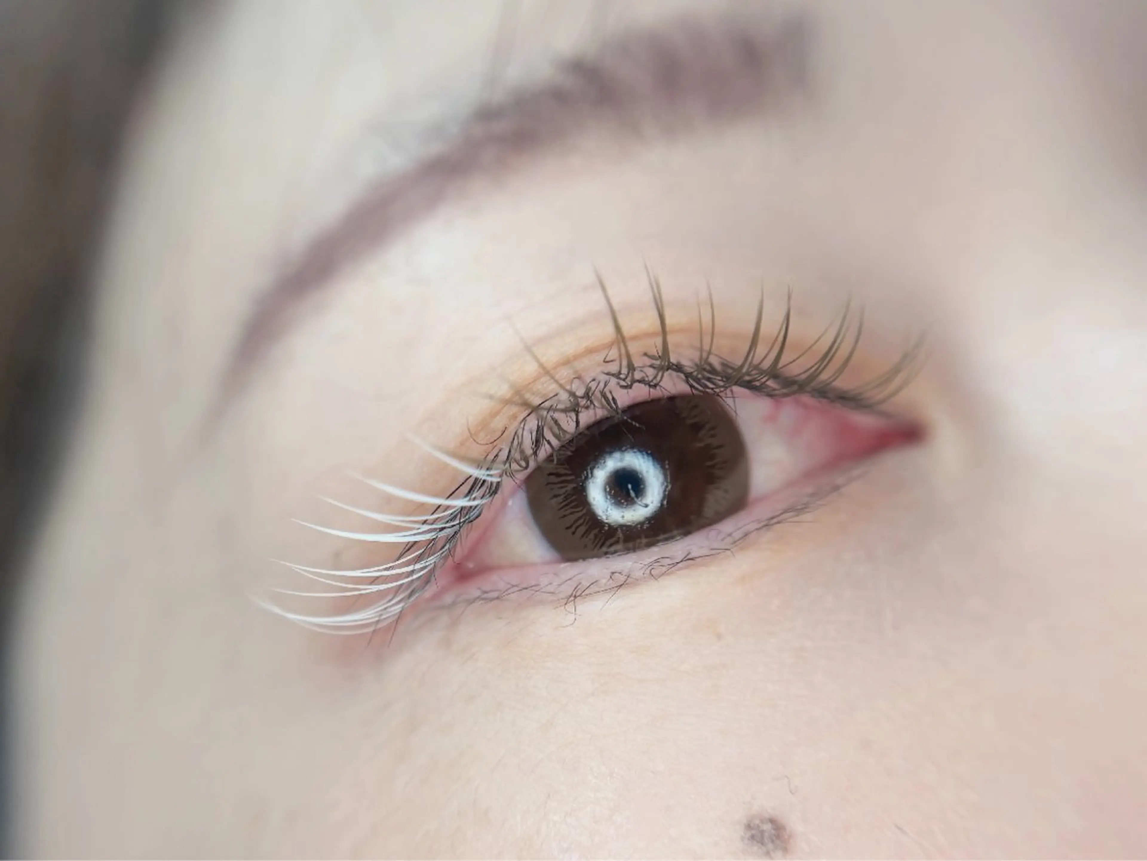 マツエク・マツパ 🦋MaaZlash 南流山FUKA🤍のマツエク・マツパデザイン