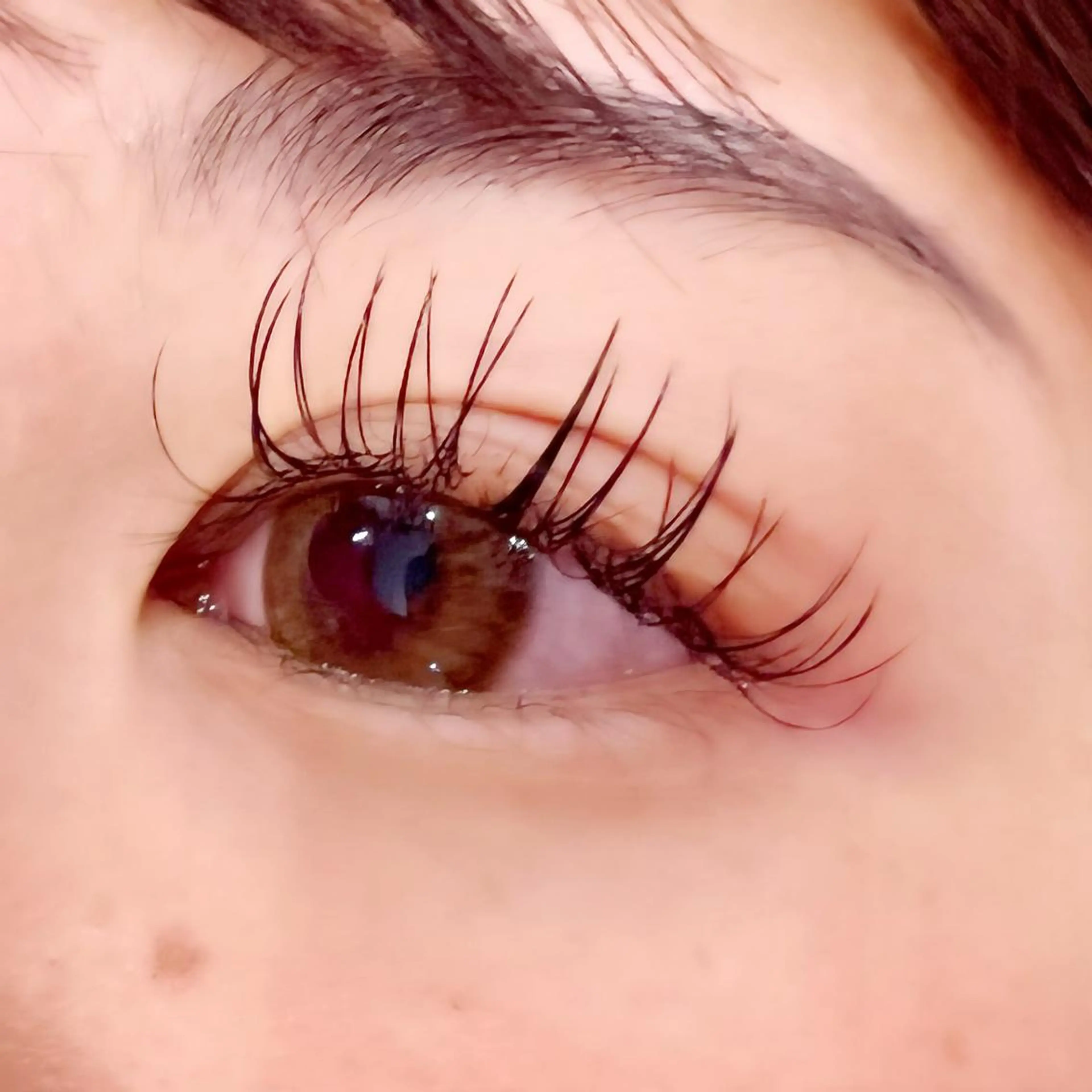 マツエク・マツパ フラットラッシュ Celeste Venus所属・🧸Celeste Venusのマツエク・マツパデザイン