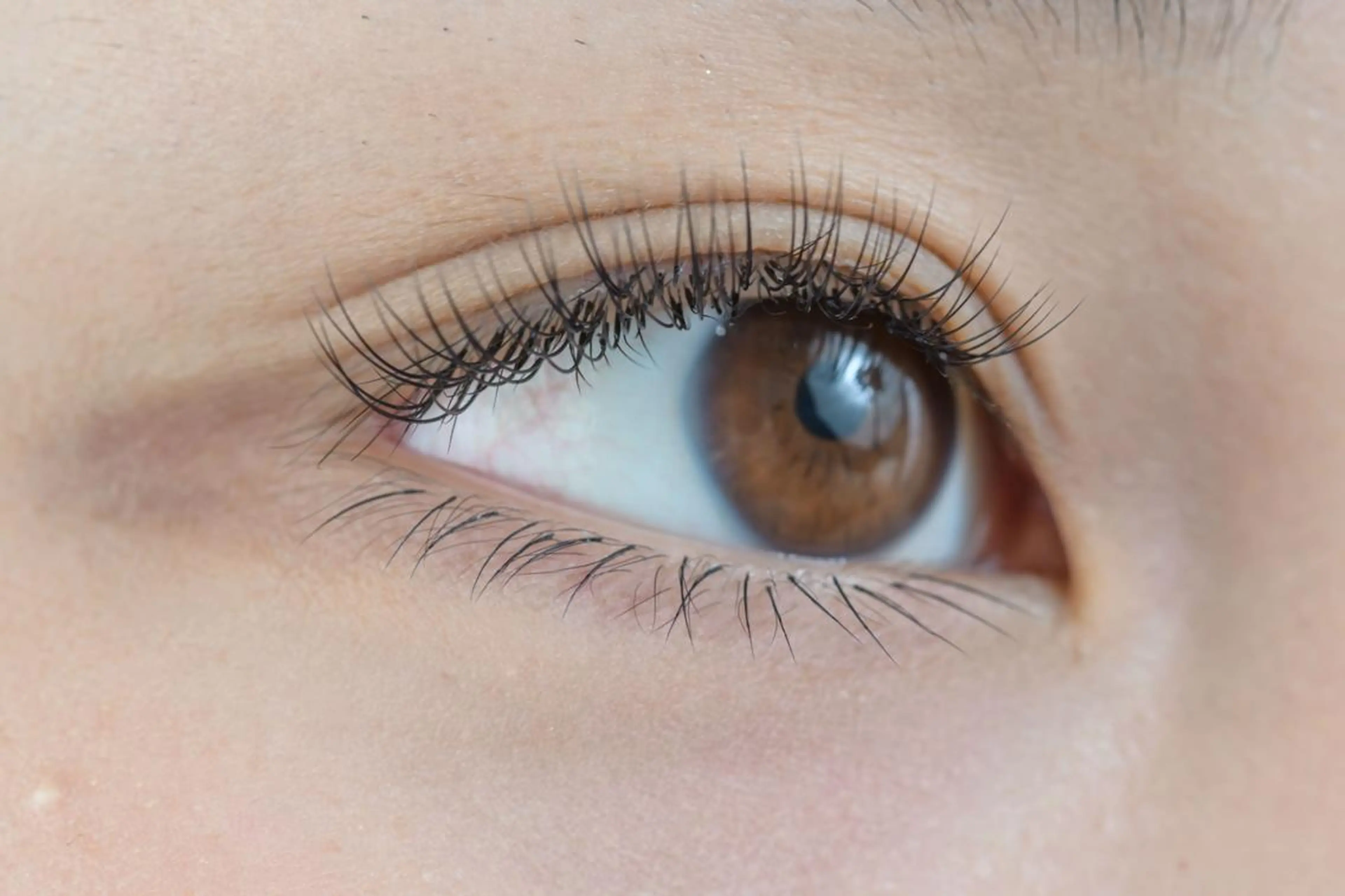 マツエク・マツパ アイサロン フェア 海老名店のマツエク・マツパデザイン