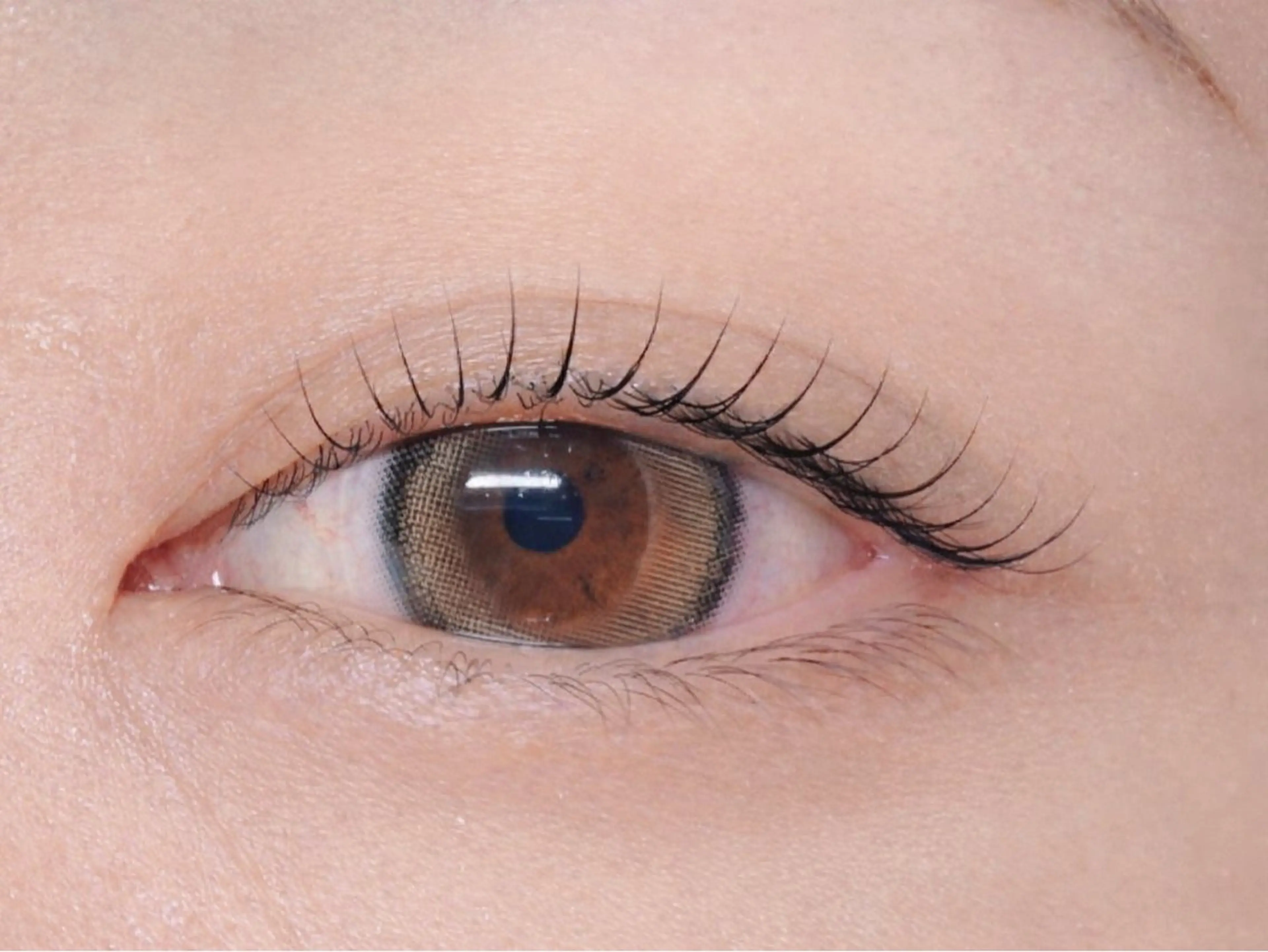 マツエク・マツパ Melia Chieのマツエク・マツパデザイン