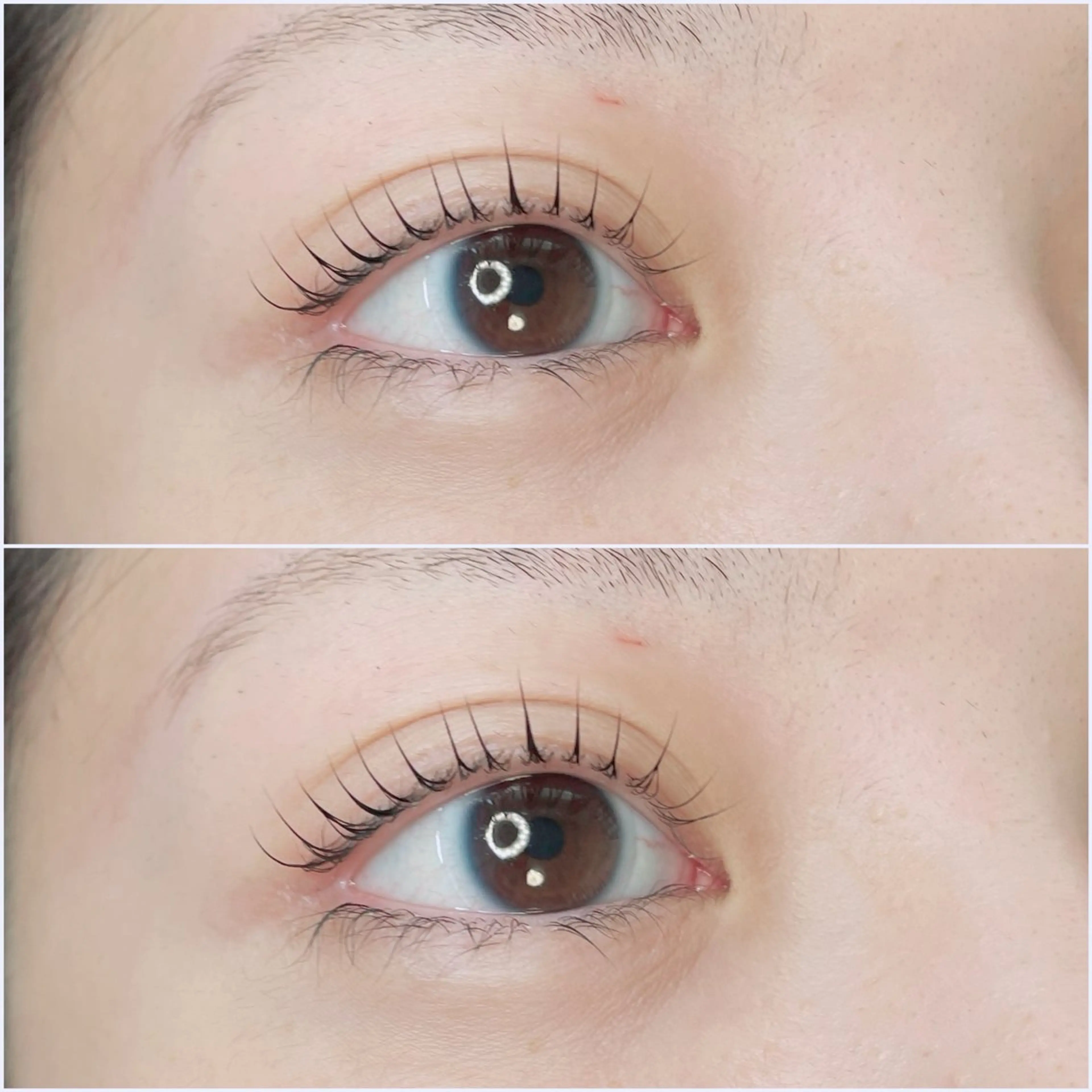 マツエク・マツパ マツパ Eyelash MAVIEのマツエク・マツパデザイン