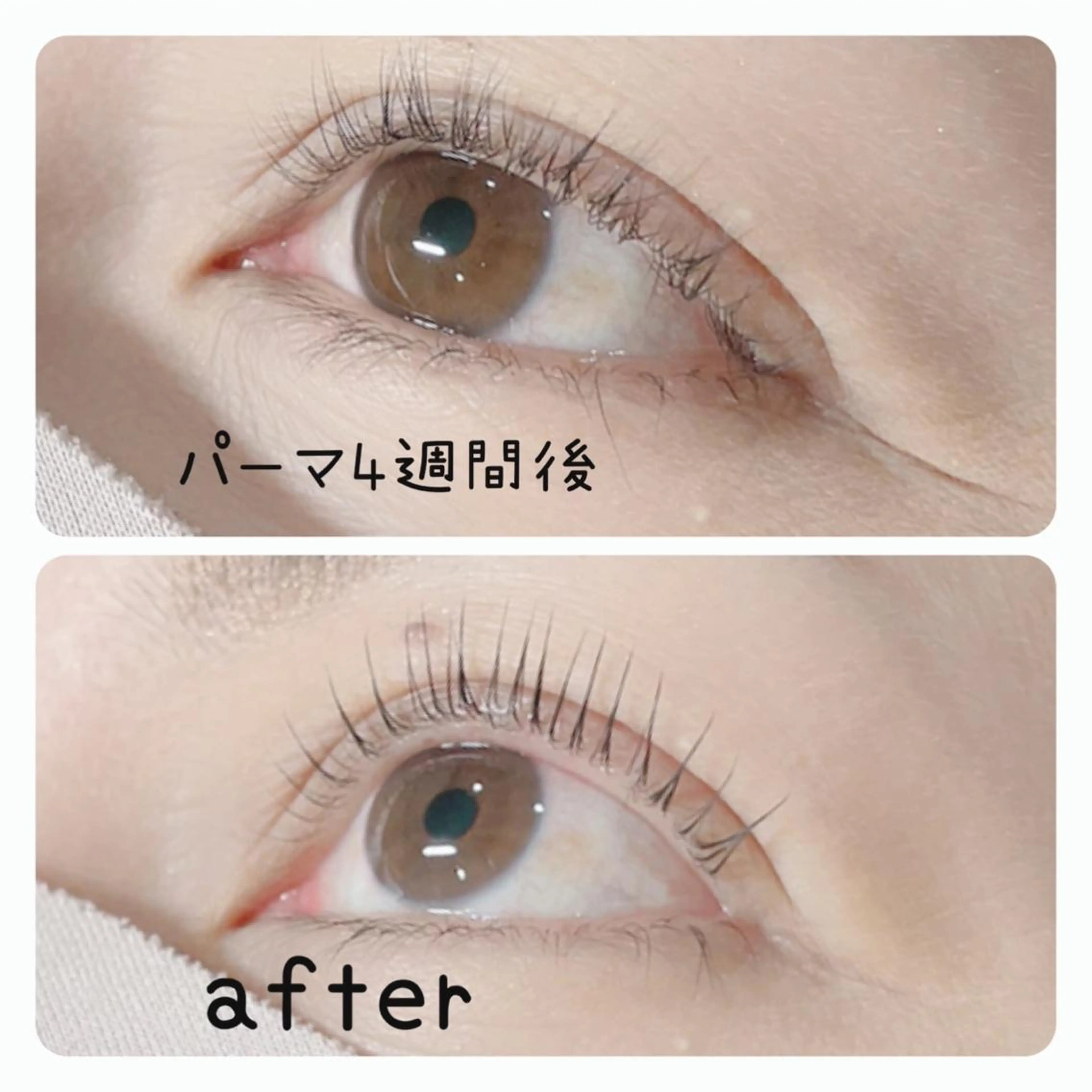 マツエク・マツパ 一重×まつ毛パーマ マツパ salon Eye'sのマツエク・マツパデザイン