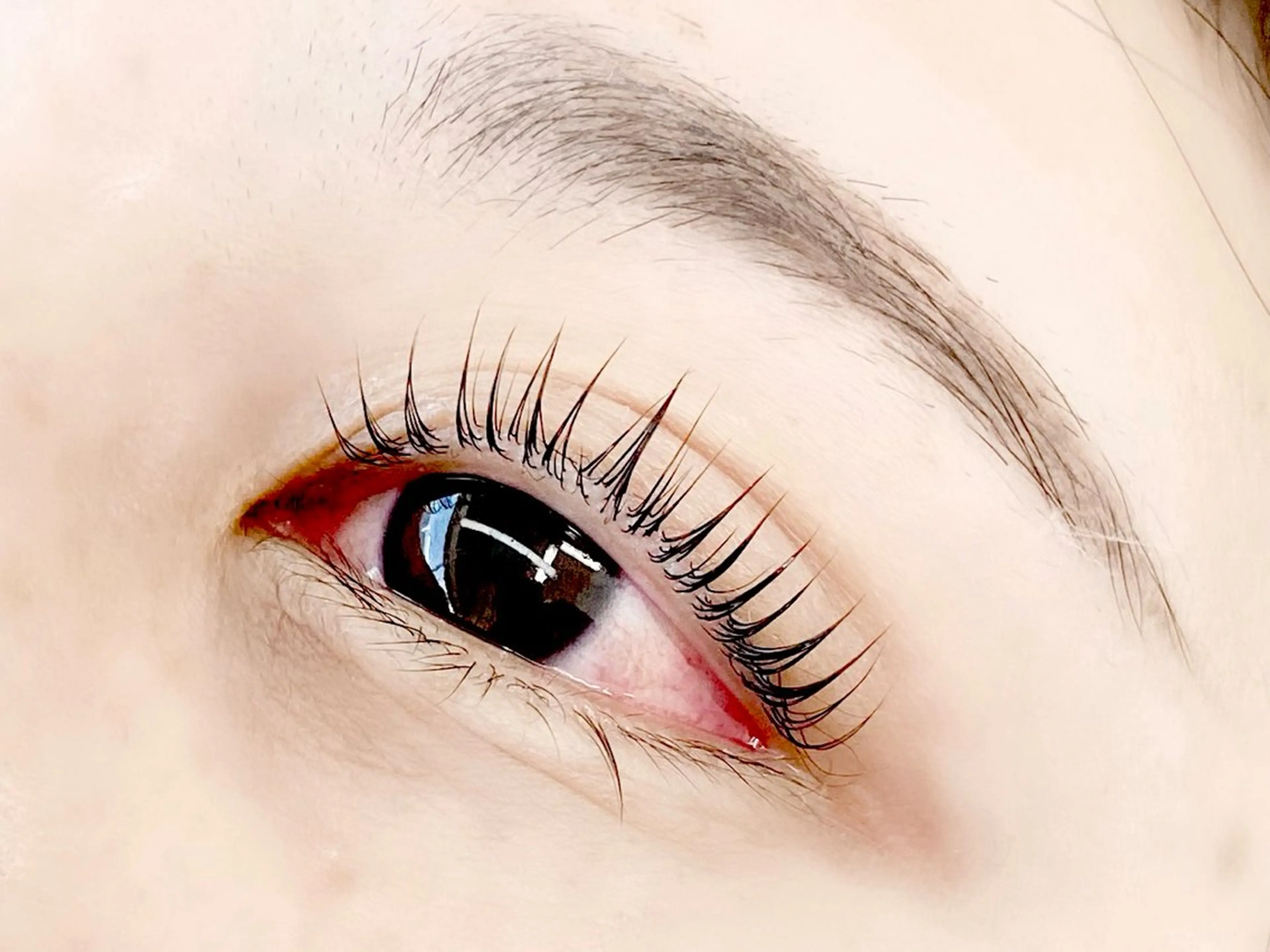 マツエク・マツパ 【メンズ眉毛サロン】 SENSE津田沼の眉毛・アイブロウイメージ