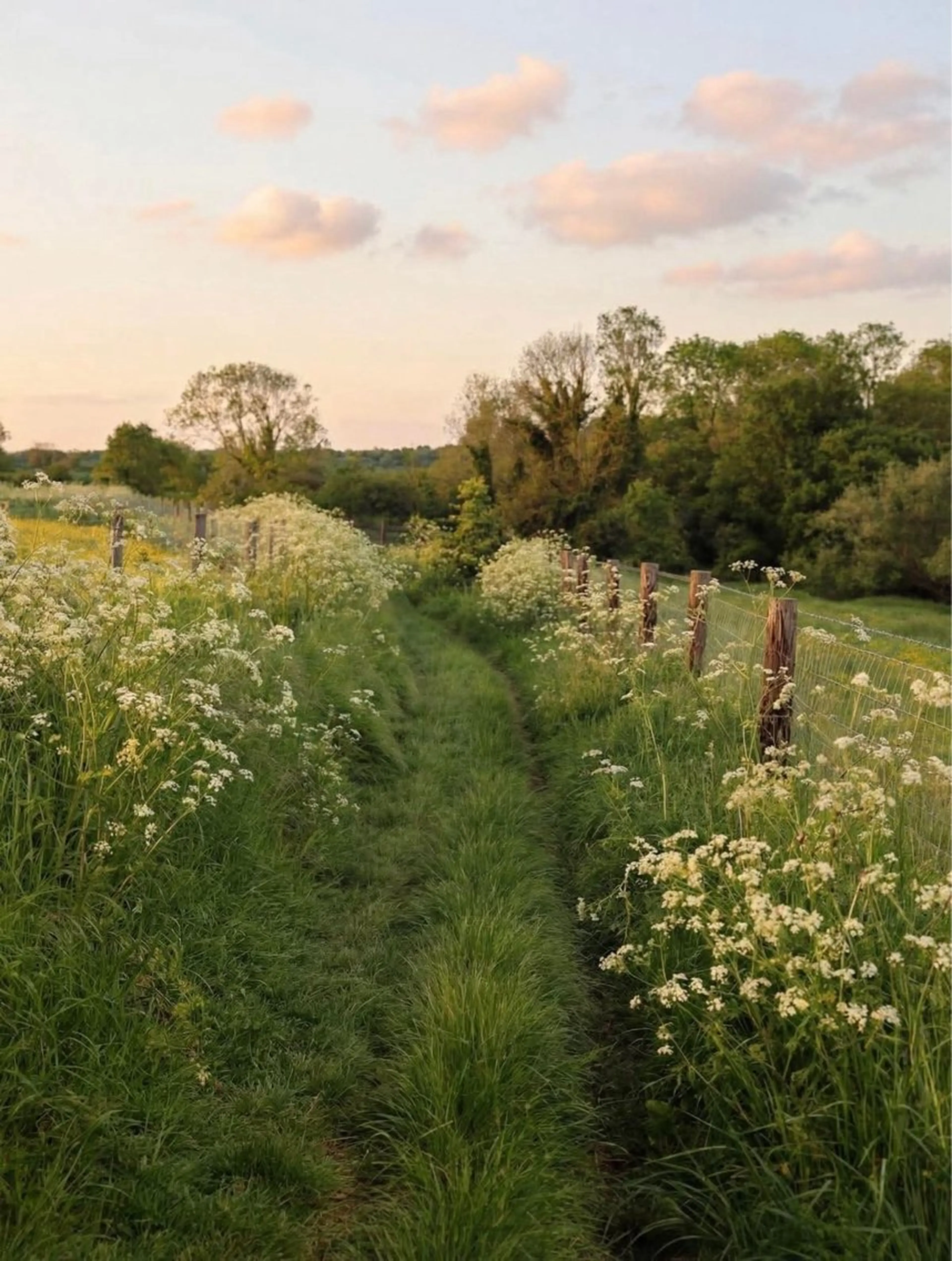 マツエク・マツパ B⭐︎star Kim🤎のマツエク・マツパデザイン