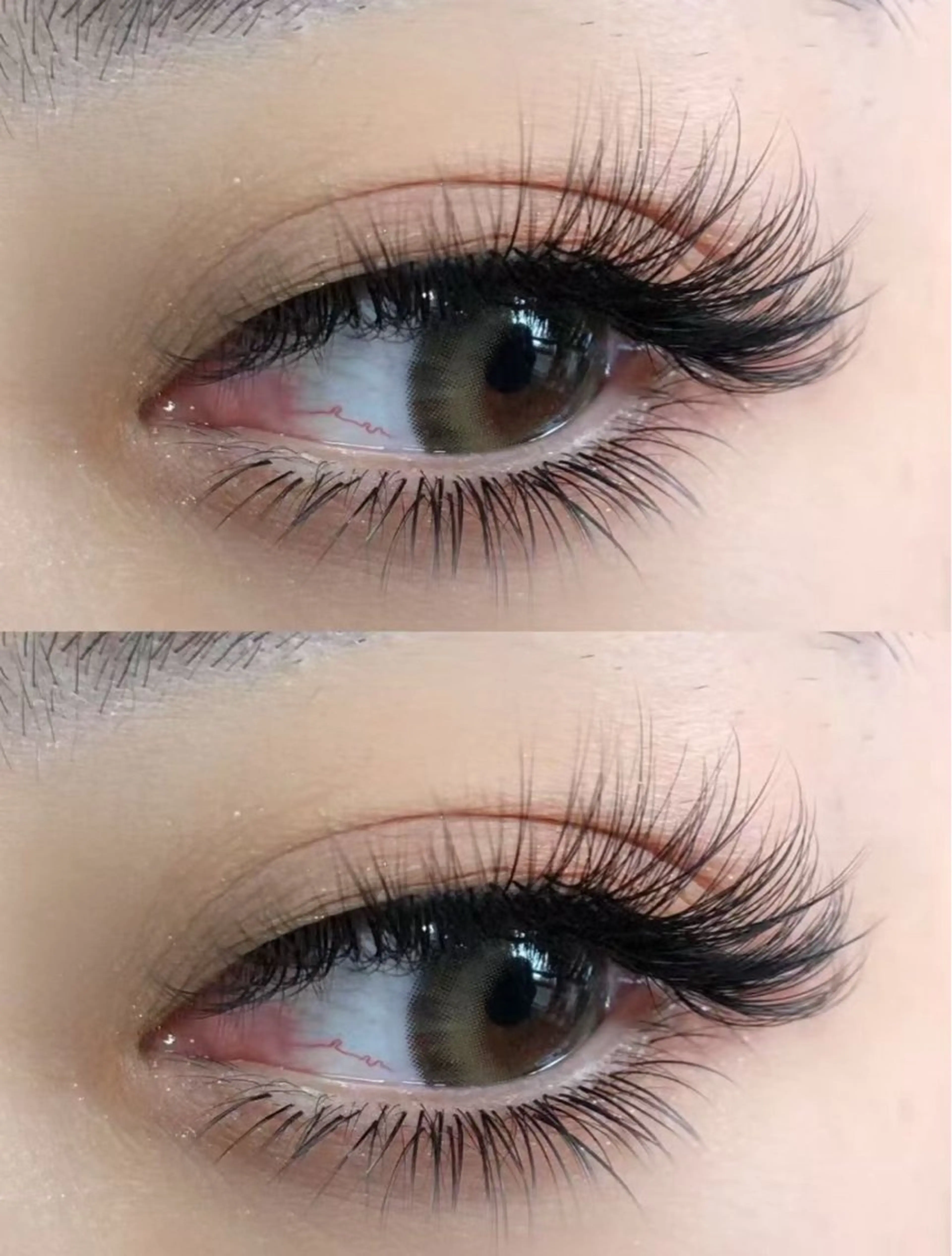 🌟新作4Dボリュームラッシュ🌟140束✨オフ無料の写真