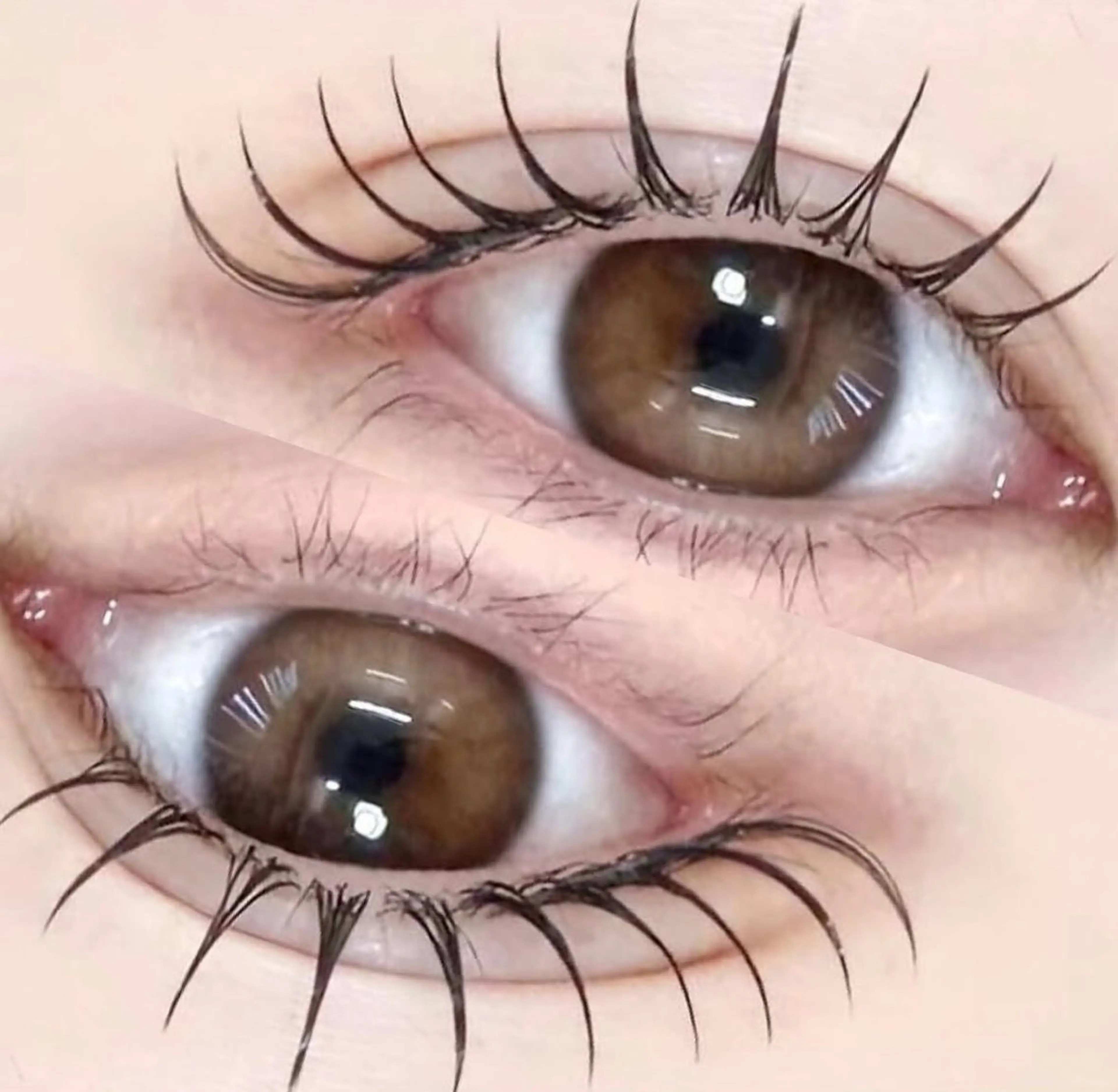 まつげパーマ（アイシャンプー付き）🌛🤍無料コーティング仕上げ𝜗𝜚の写真