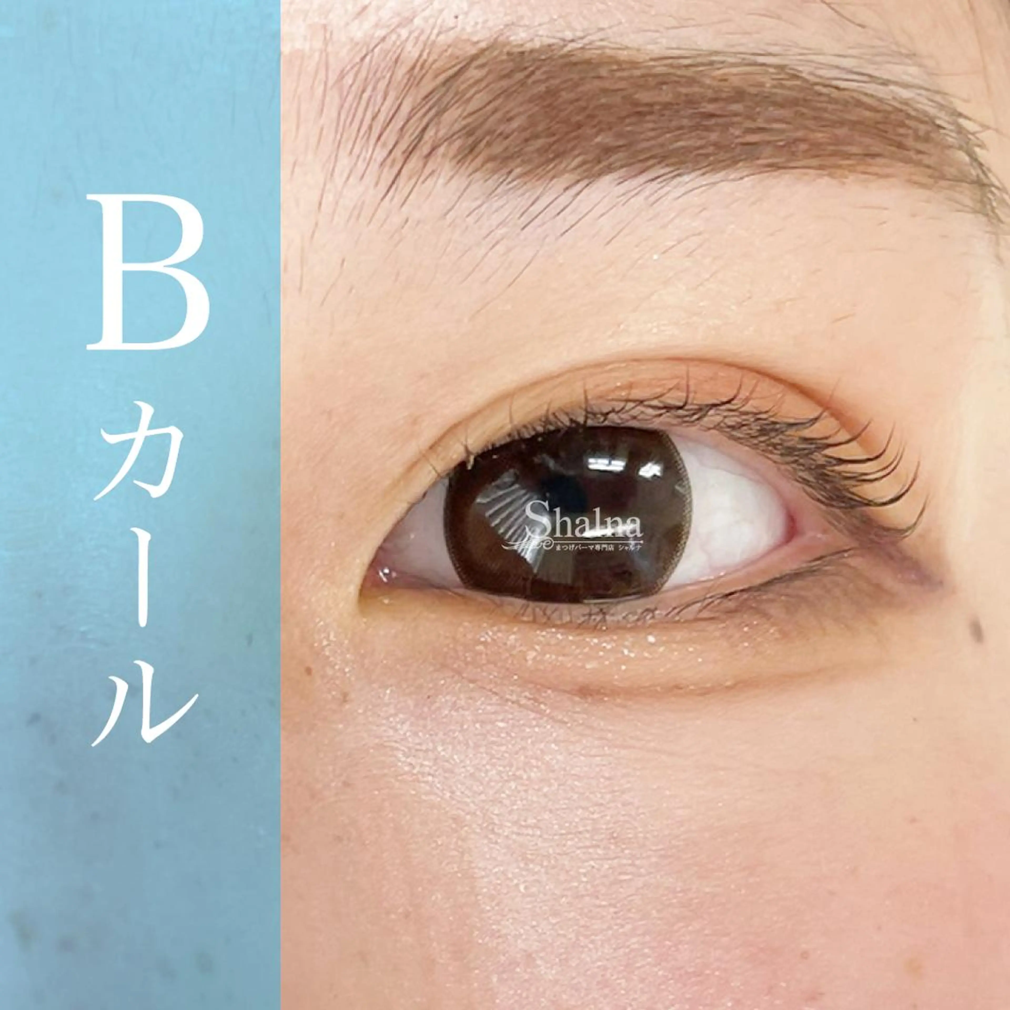 マツエク・マツパ Bカール まつげパーマ まつげパーマ専門店 シャルナ　上野店のマツエク・マツパデザイン