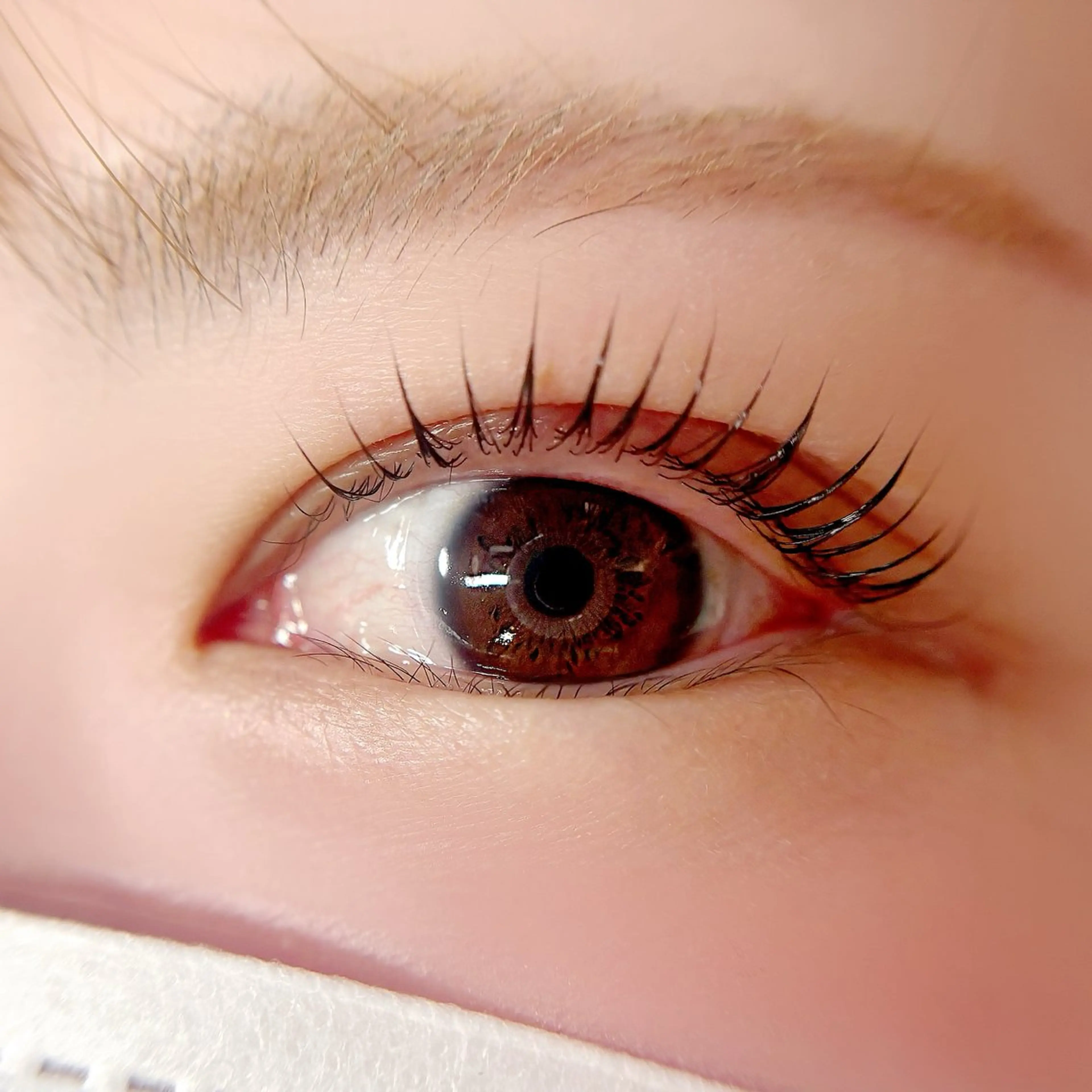 マツエク・マツパ マツパ eFu【lashlift&eyeblow】所属・長井市/ MINAGAWAのマツエク・マツパデザイン