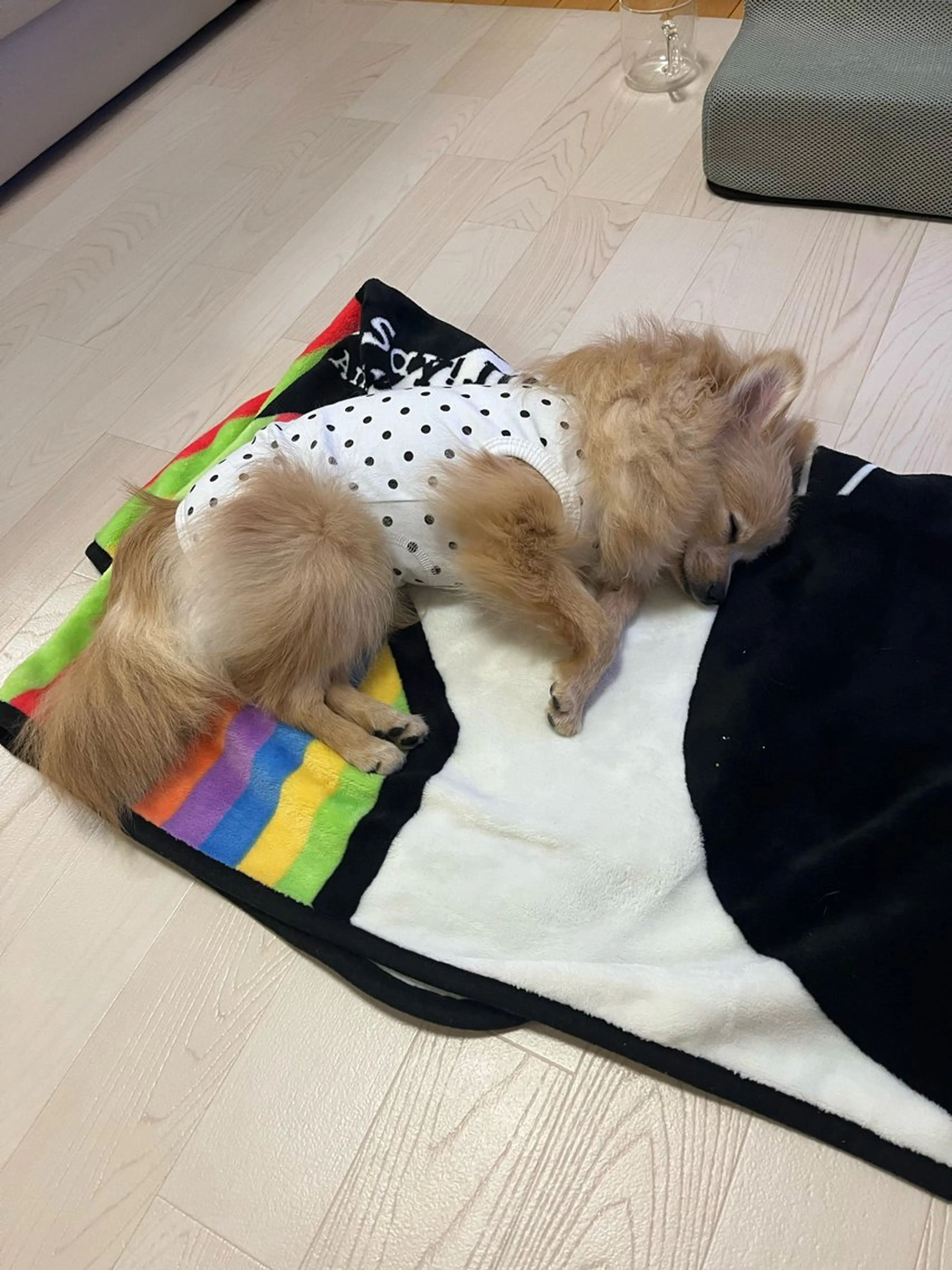 紙屋 隼人のヘアスタイル