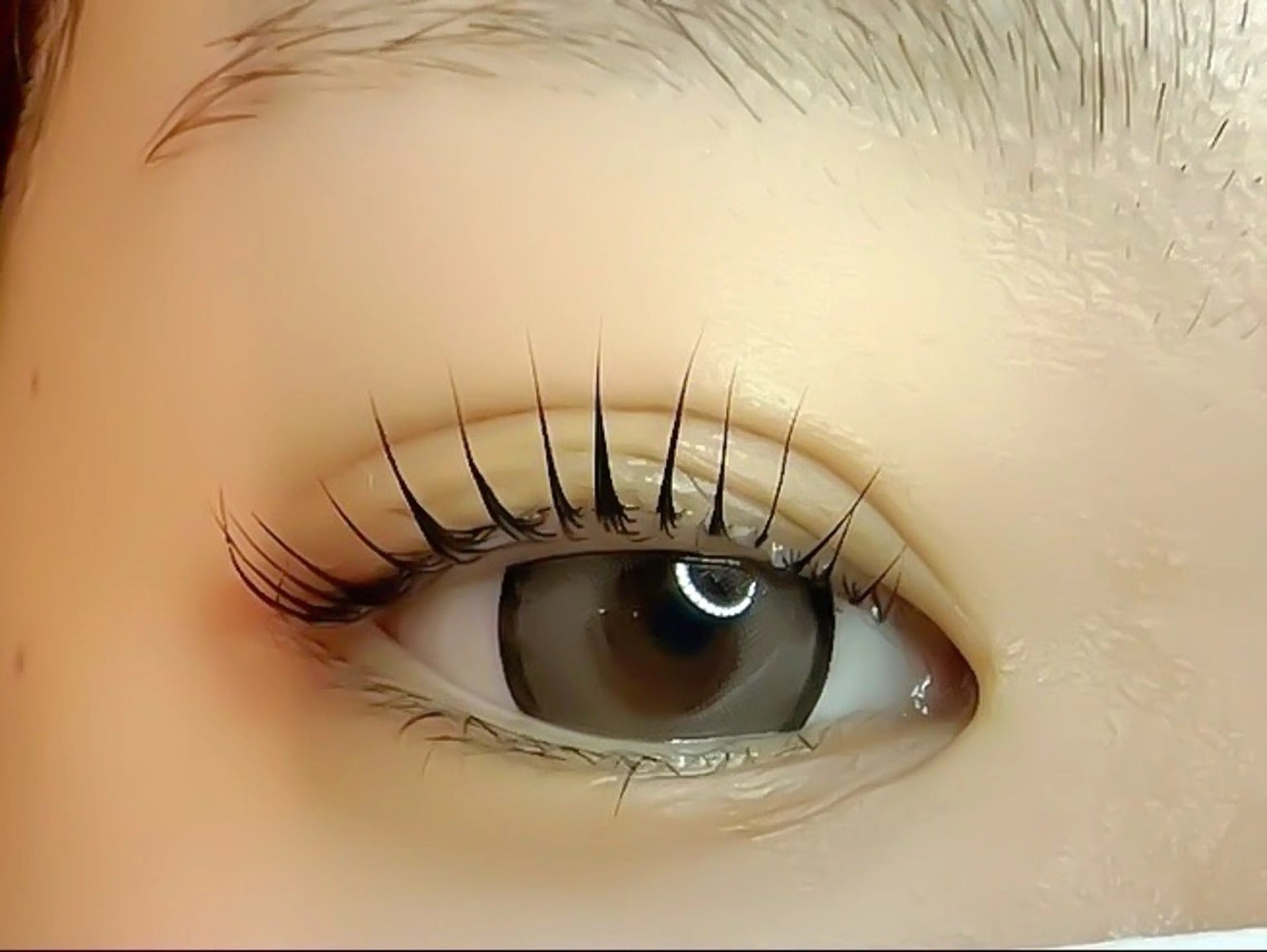 マツエク・マツパ Koa🦋ma ho🦋のその他イメージ