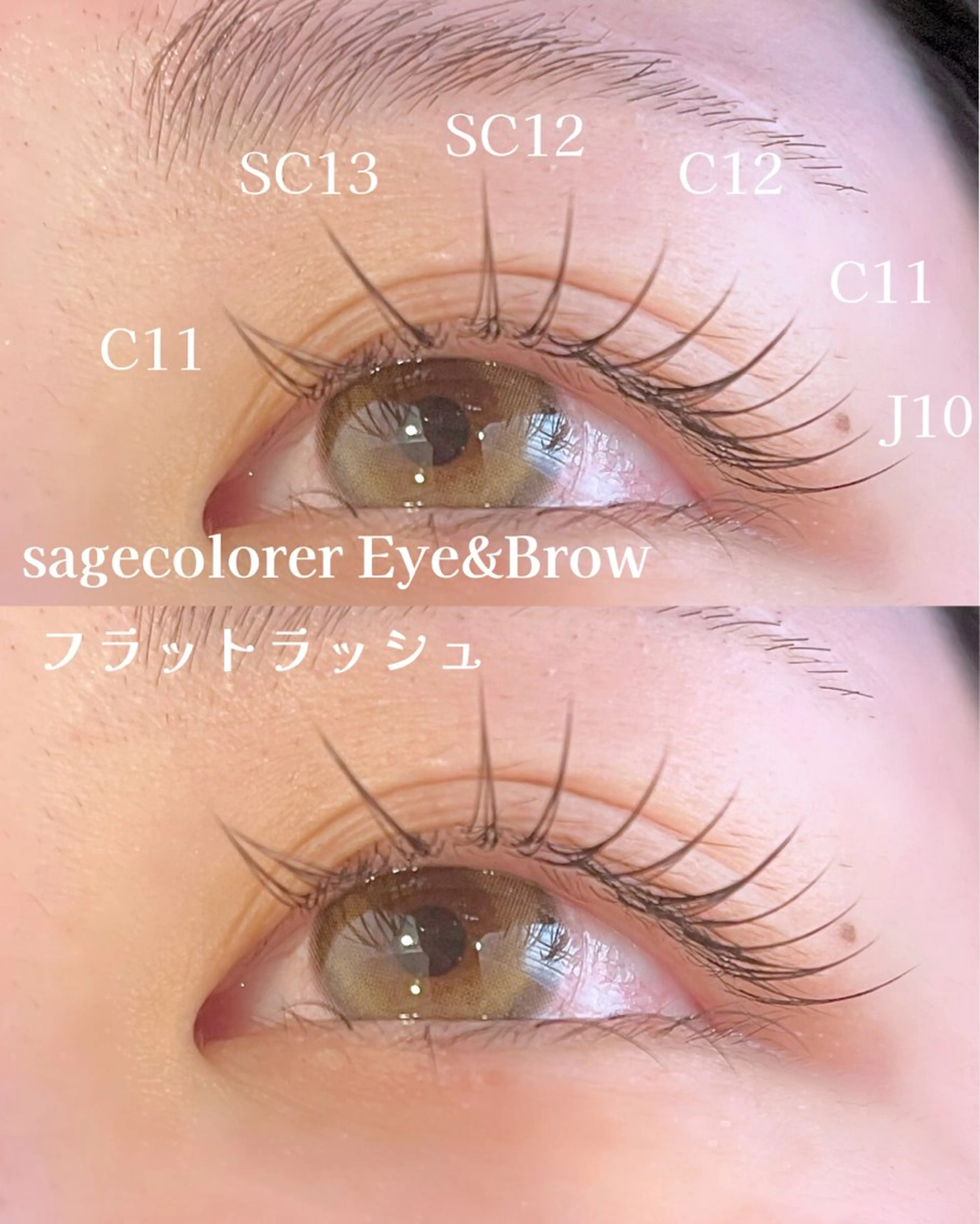 サージュクロレ まつ毛/エク/エステのマツエク・マツパデザイン