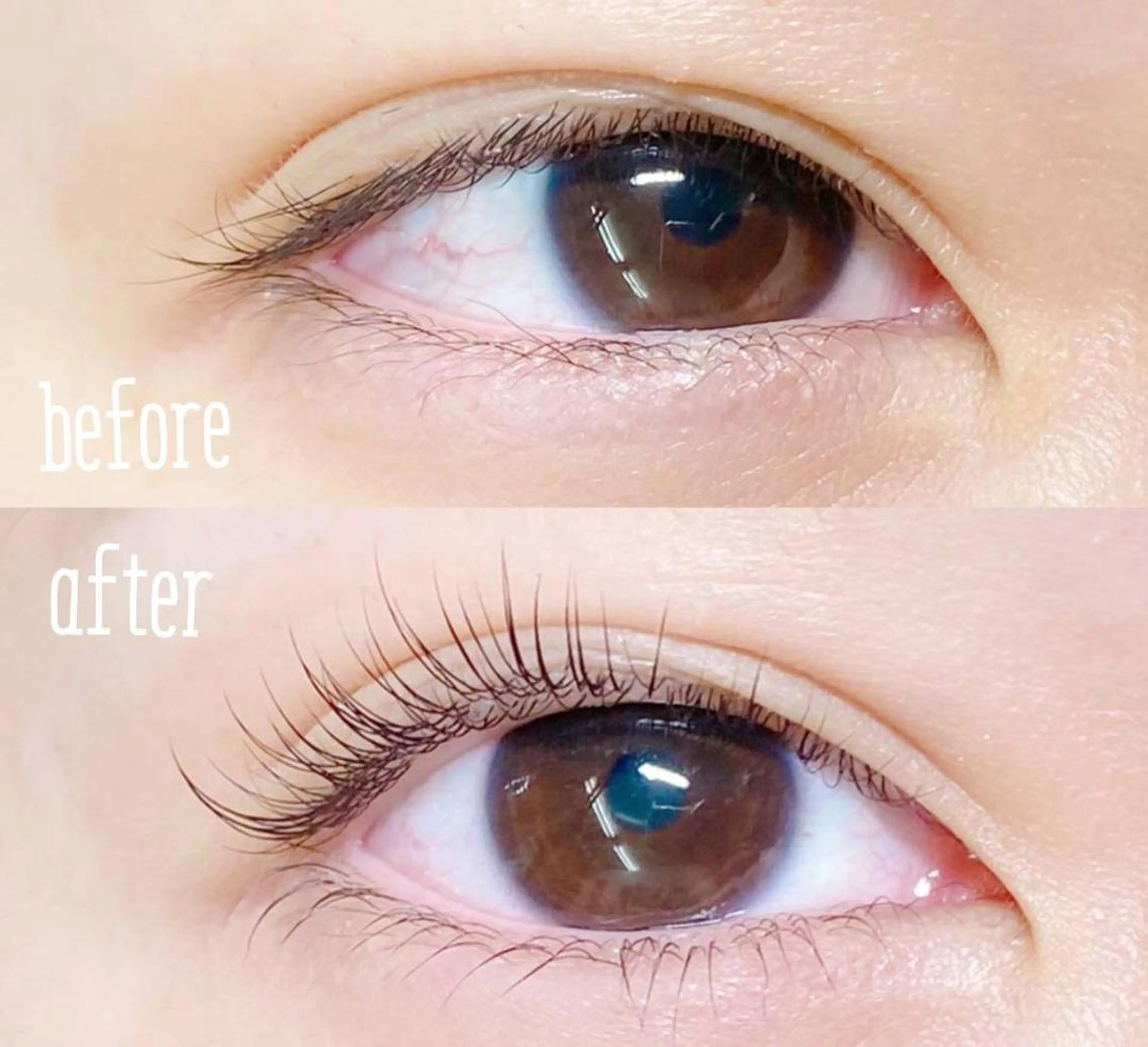 まつげパーマ🥀上下の写真