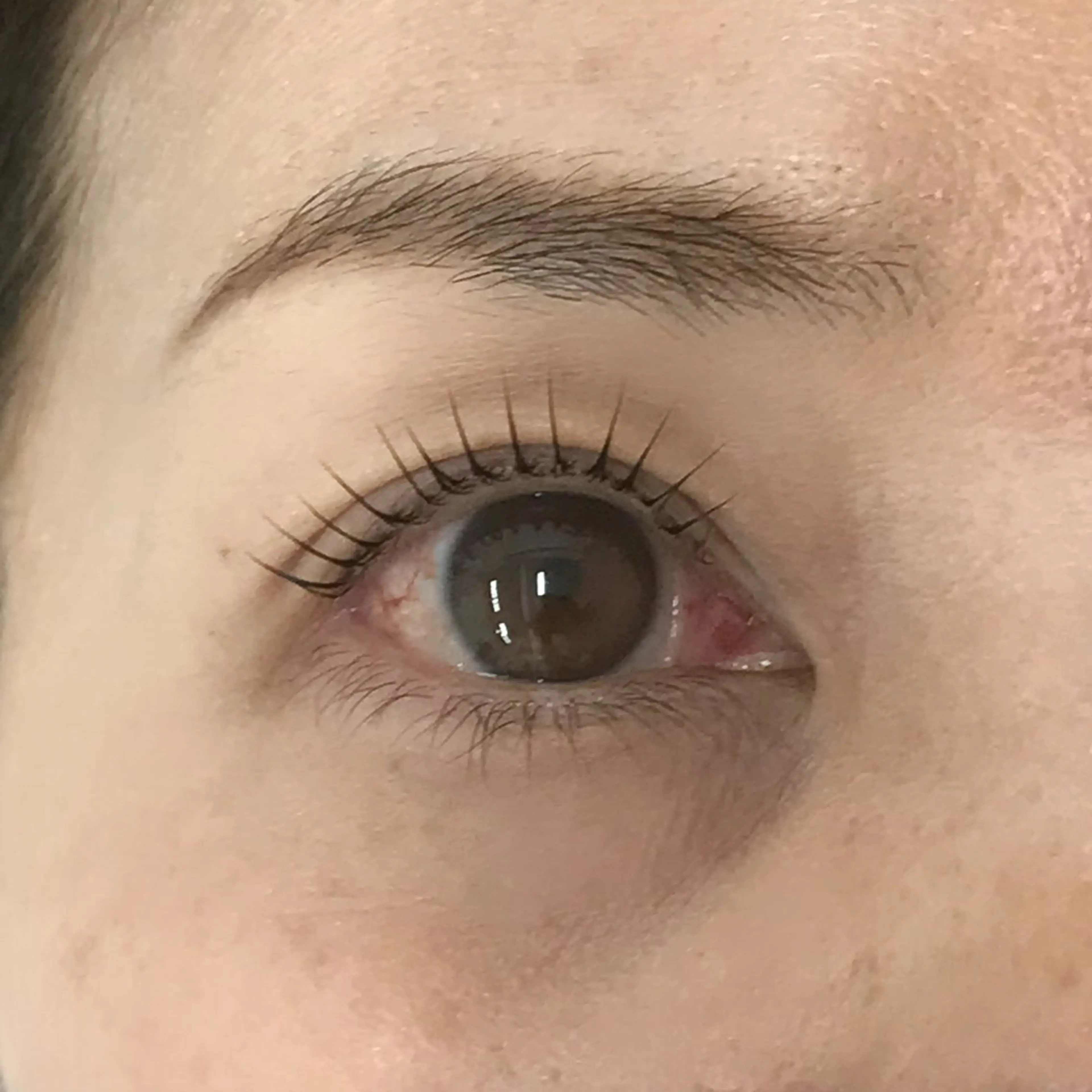 マツエク・マツパ uland yuzukiの眉毛・アイブロウイメージ