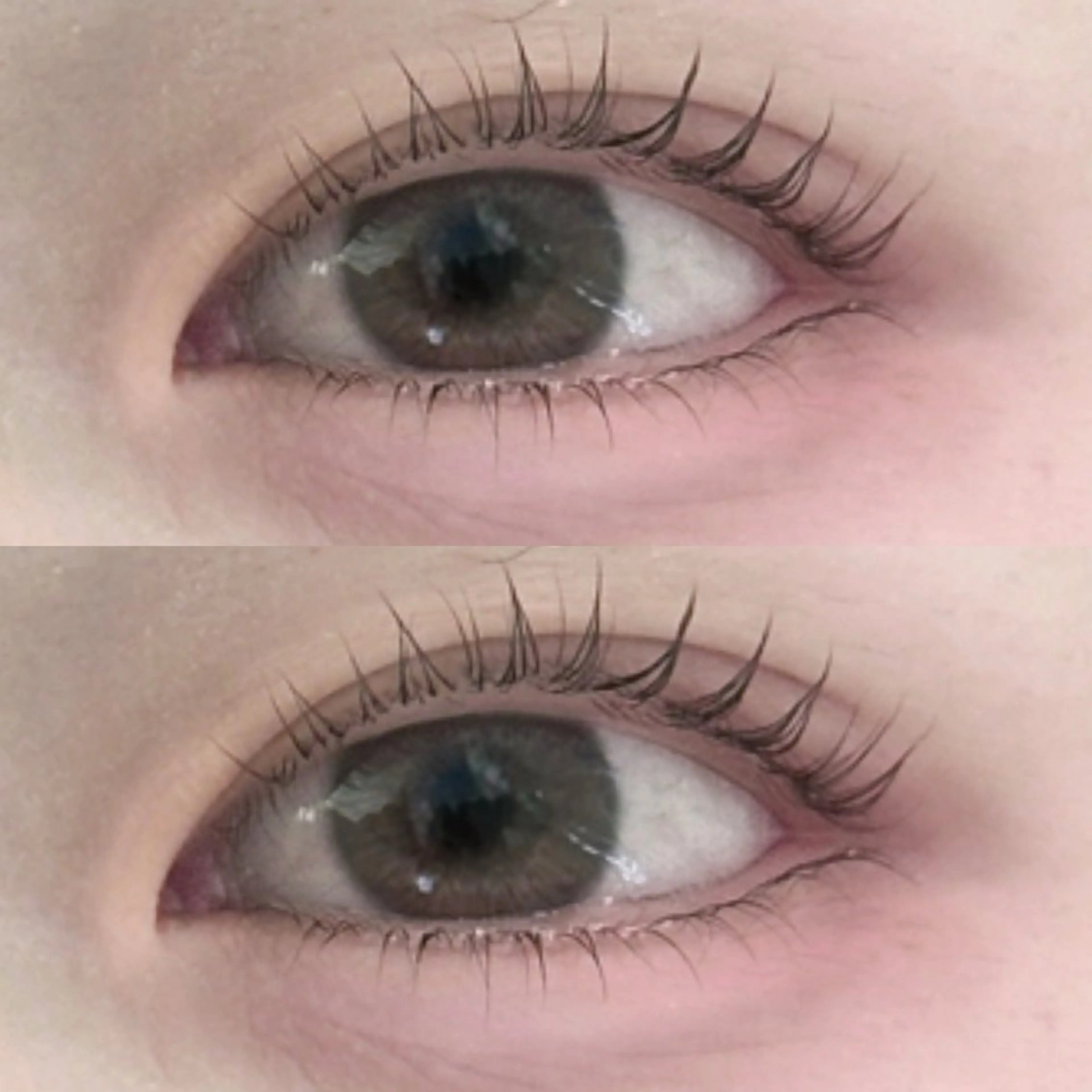 マツエク・マツパ 束感まつ毛 ワンホンマツエク lit.🤍 kiyoneのマツエク・マツパデザイン